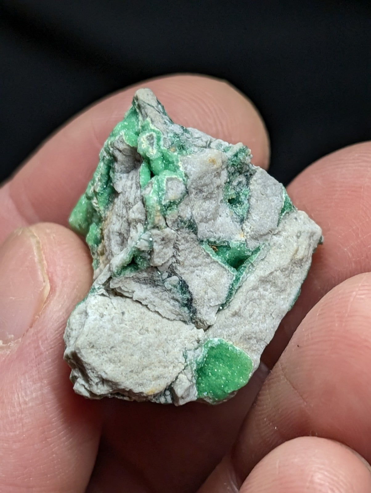 Variscite - Old Stock - 1960s Delinde claim - Garland County Arkansas - Collectibles:Rocks Fossils & Minerals:Crystals