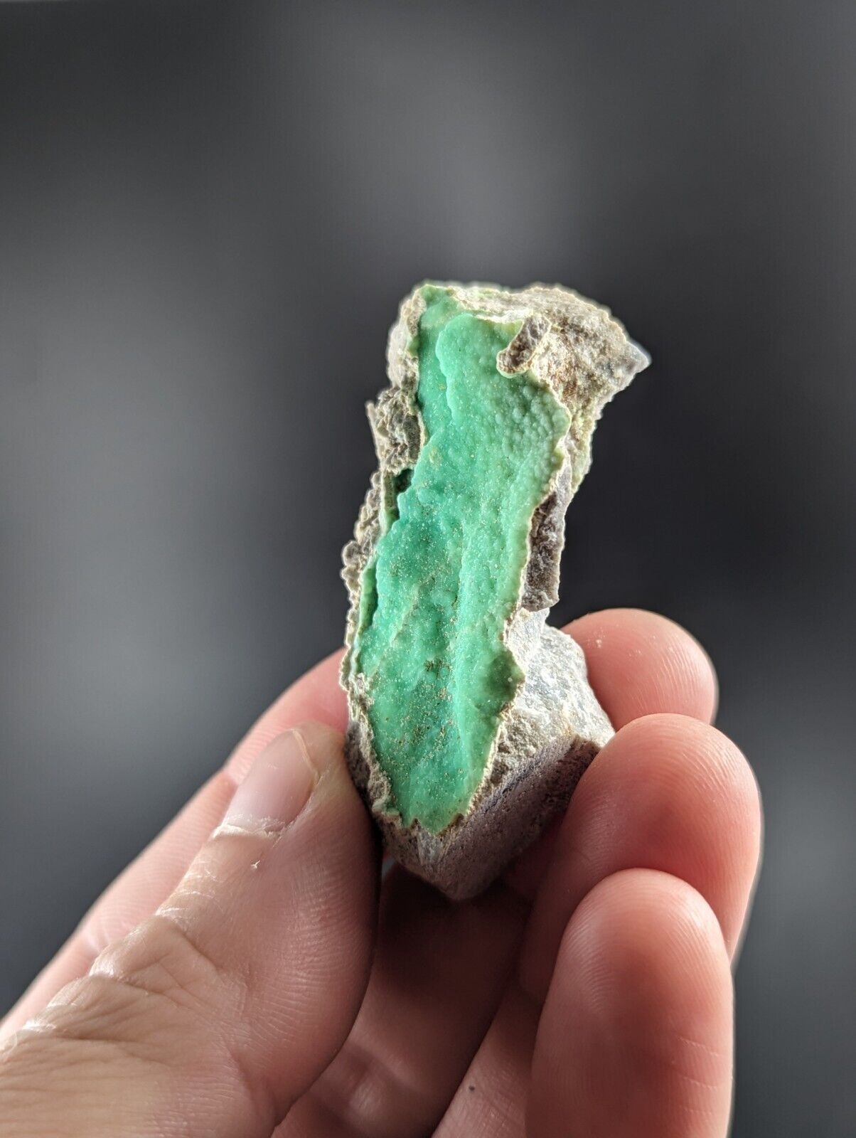 Variscite - Old Stock - Delinde / Schmitt mine - Garland County Arkansas - Collectibles:Rocks Fossils &