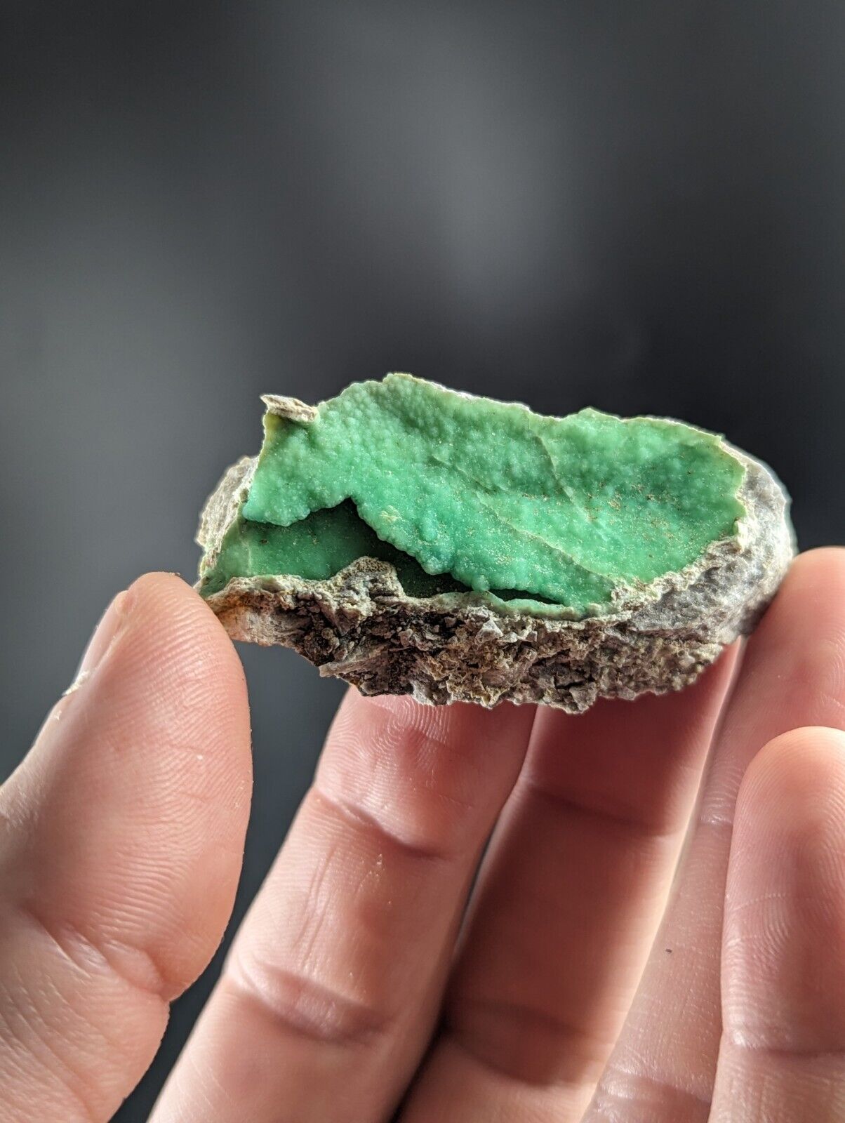 Variscite - Old Stock - Delinde / Schmitt mine - Garland County Arkansas - Collectibles:Rocks Fossils &