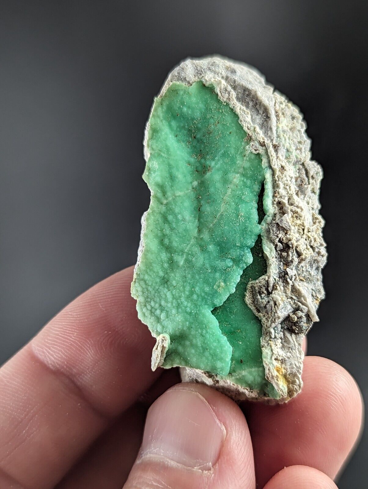 Variscite - Old Stock - Delinde / Schmitt mine - Garland County Arkansas - Collectibles:Rocks Fossils &