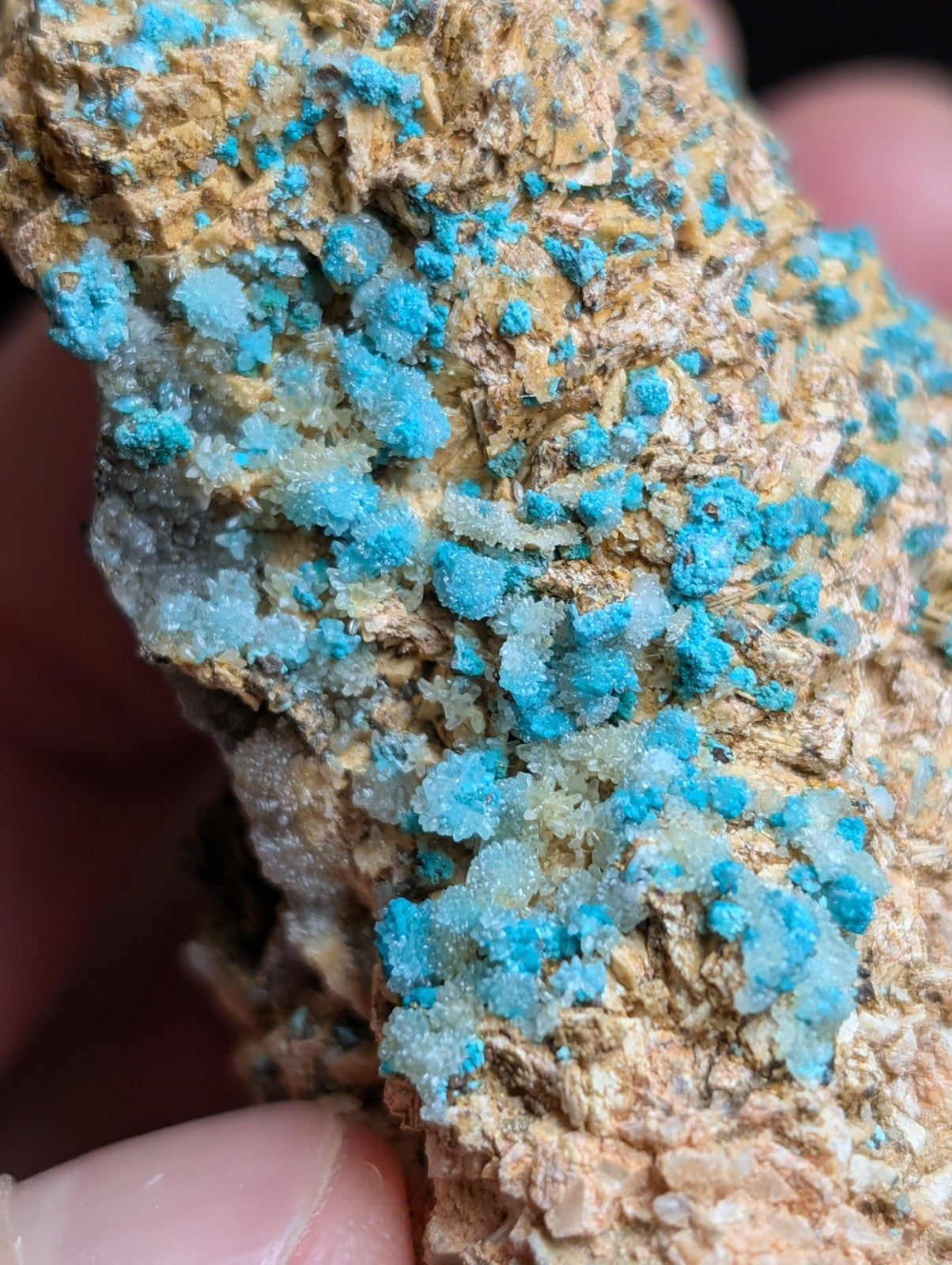 Very Rare Aurichalcite and Selenite Red Cloud Mine Rush Marion Co. Arkansas - Collectibles:Rocks Fossils &