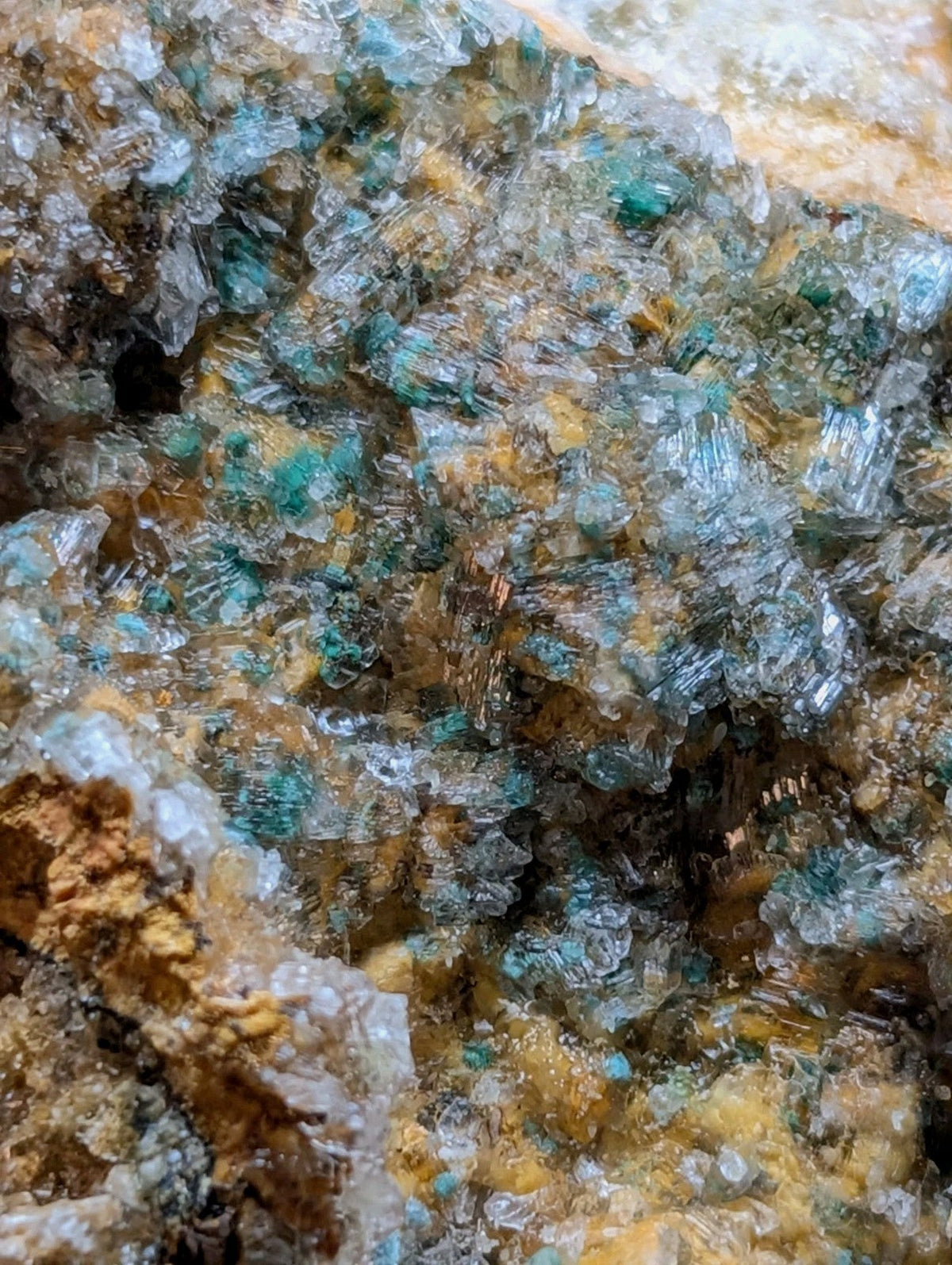 A cluster of translucent turquoise and green crystals embedded in a golden-yellow mineral matrix.