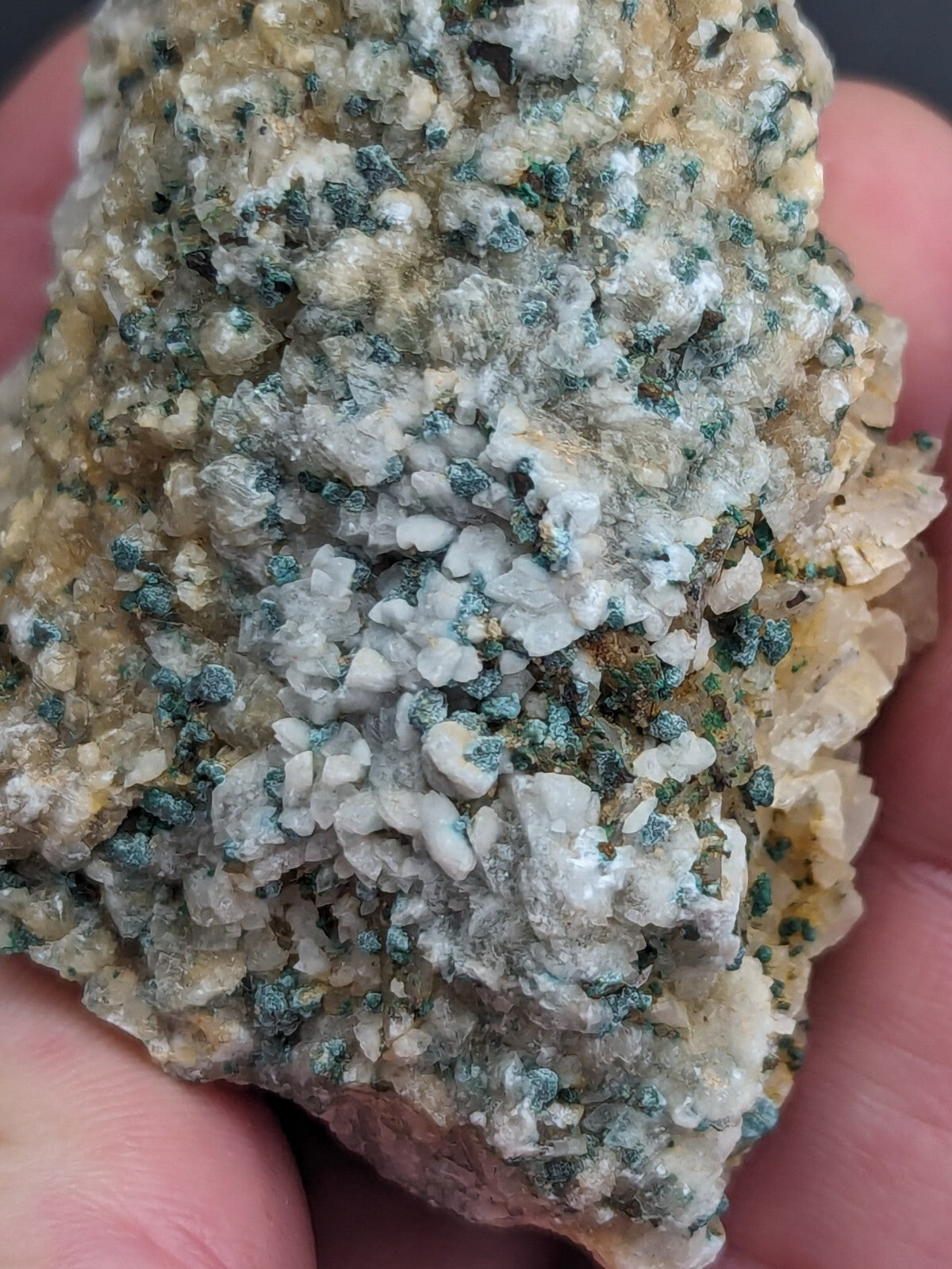 A hand holds a textured mineral specimen featuring clusters of translucent white crystals interspersed with specks of vibrant teal-green, set against a pale beige matrix.
