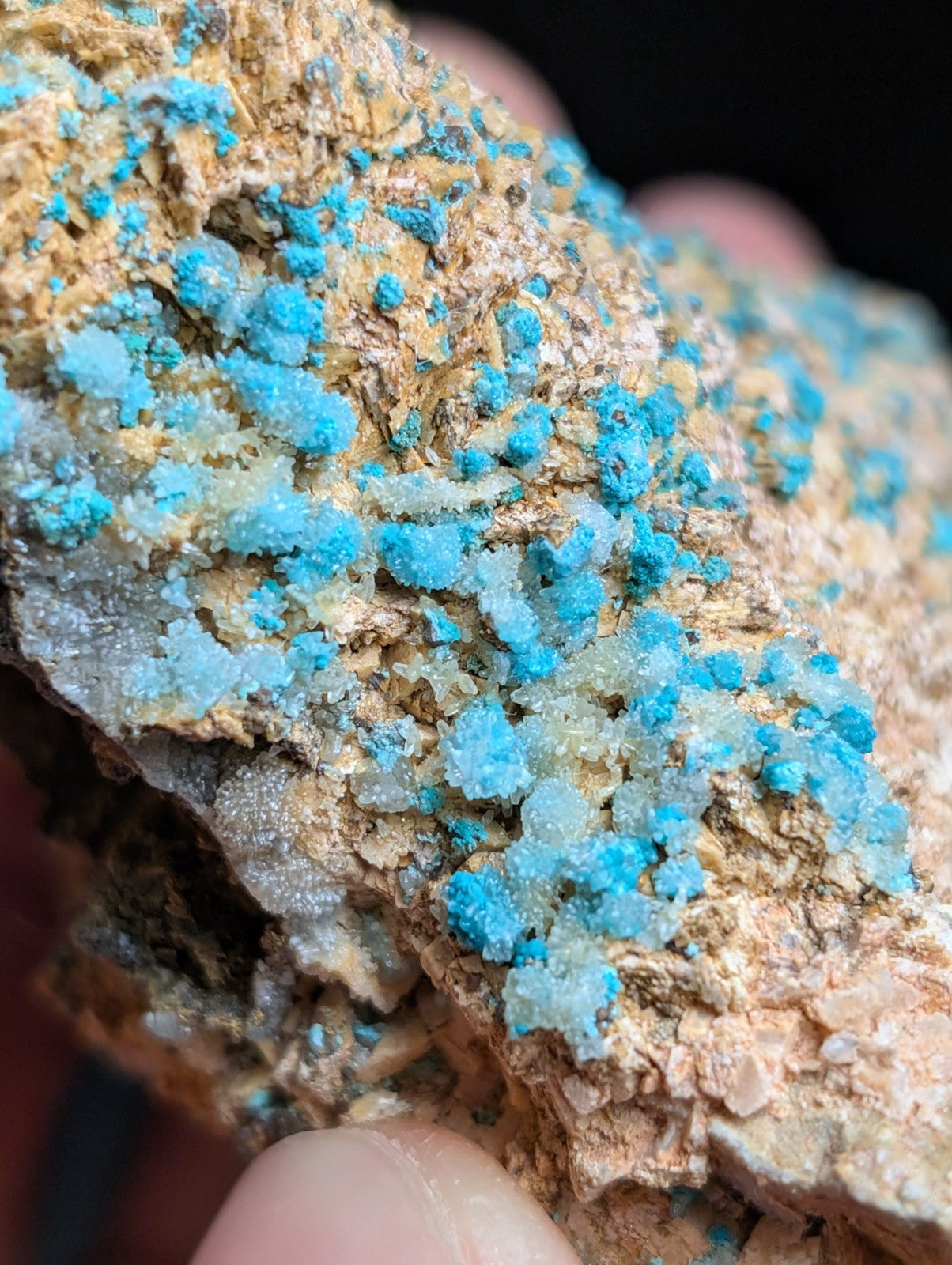 Very Rare Aurichalcite and Selenite Red Cloud Mine Rush Marion Co. Arkansas - Collectibles:Rocks Fossils &