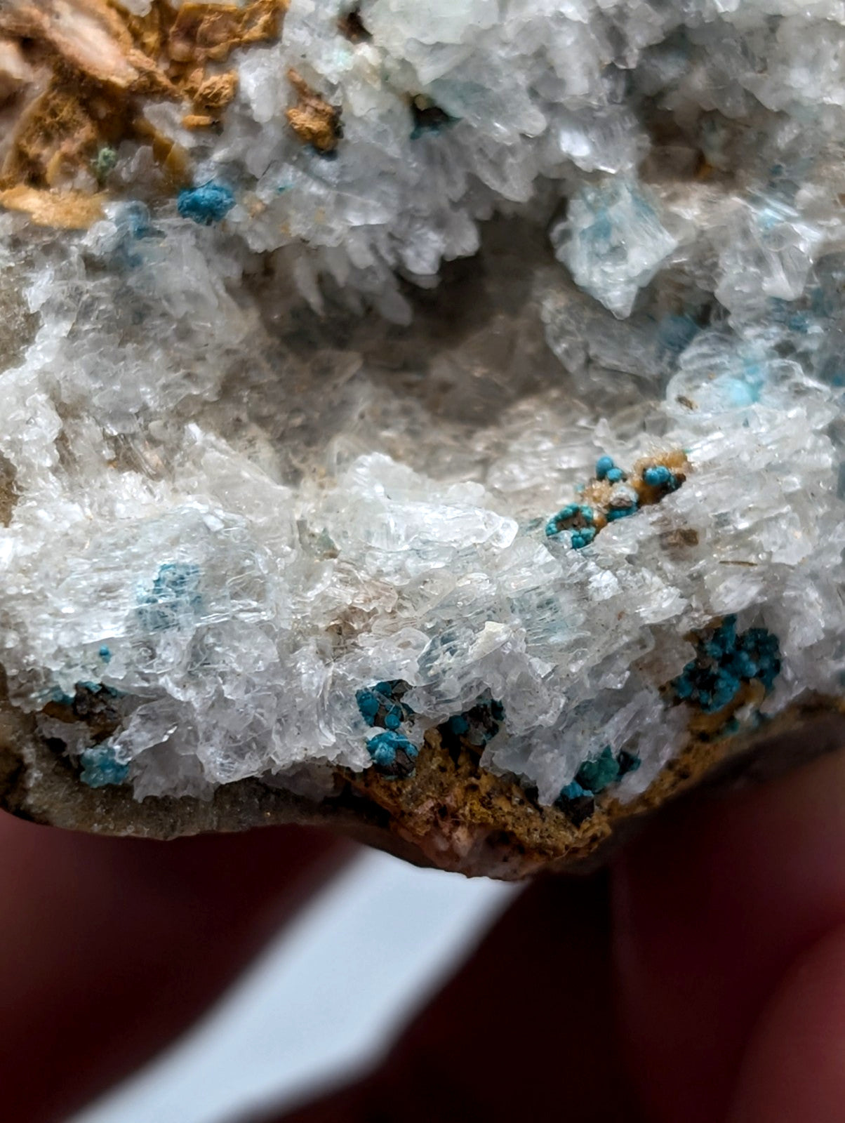 Very rare aurichalcite and selenite mineral specimen with turquoise and golden brown matrix from red cloud mine arkansas
