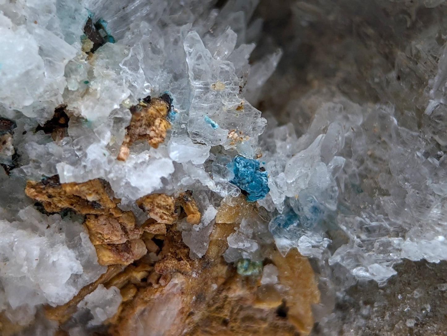 A cluster of translucent white selenite crystals with vibrant blue aurichalcite and brown minerals from red cloud mine arkansas