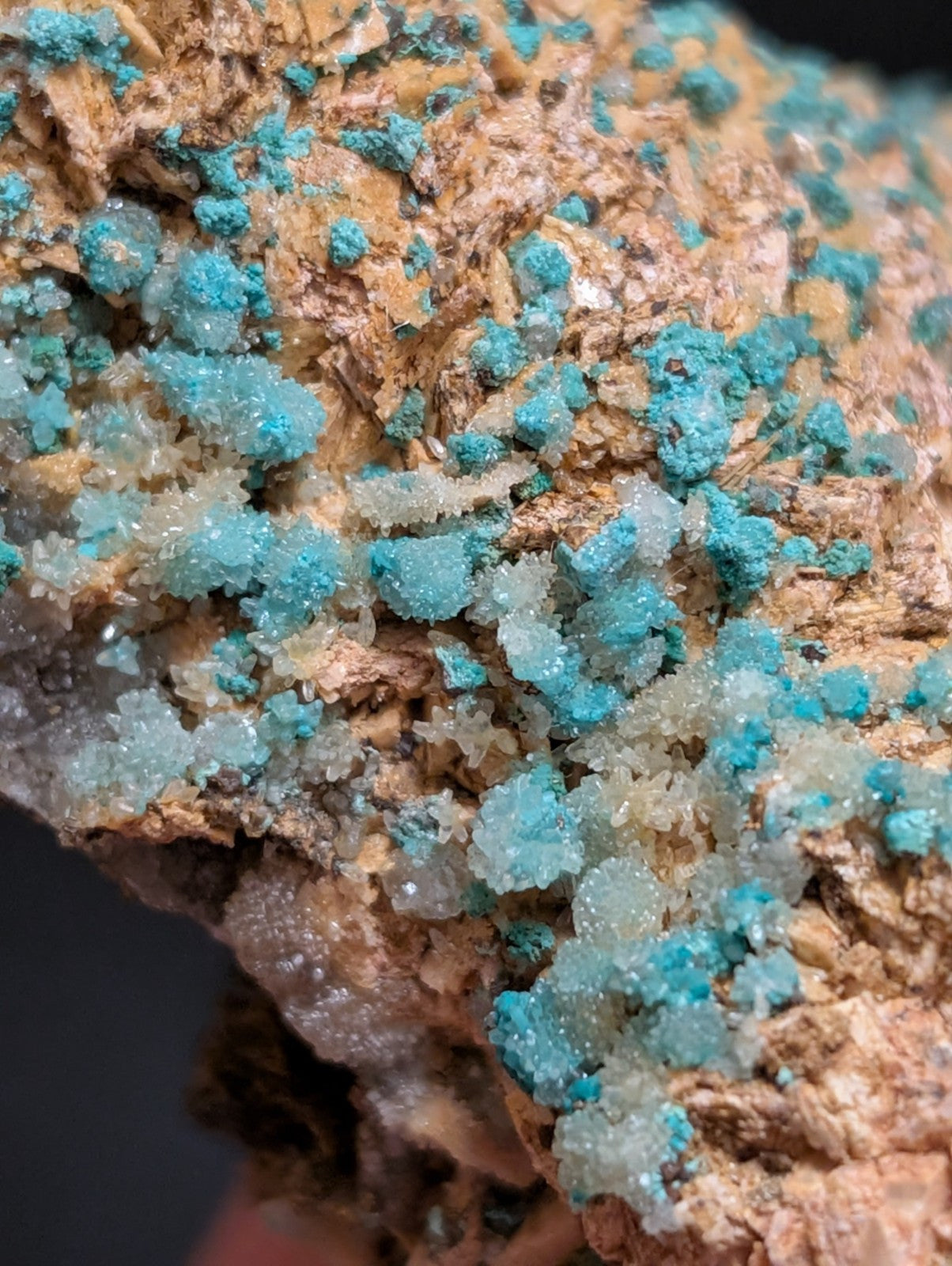 Very Rare Aurichalcite and Selenite Red Cloud Mine Rush Marion Co. Arkansas - Collectibles:Rocks Fossils &