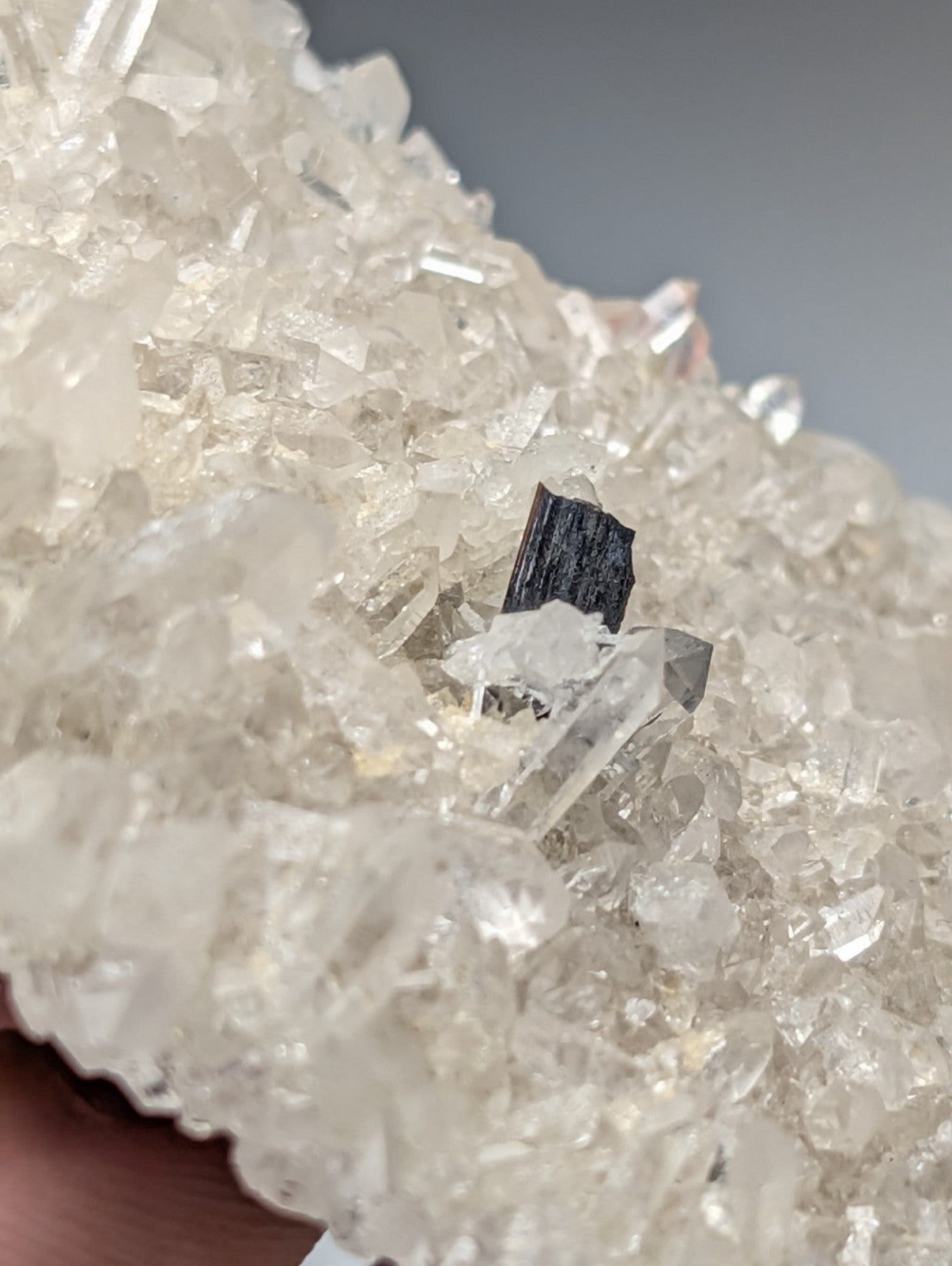 A very rare black brookite mineral nestled in translucent crystalline quartz from miller mountain arkansas usa