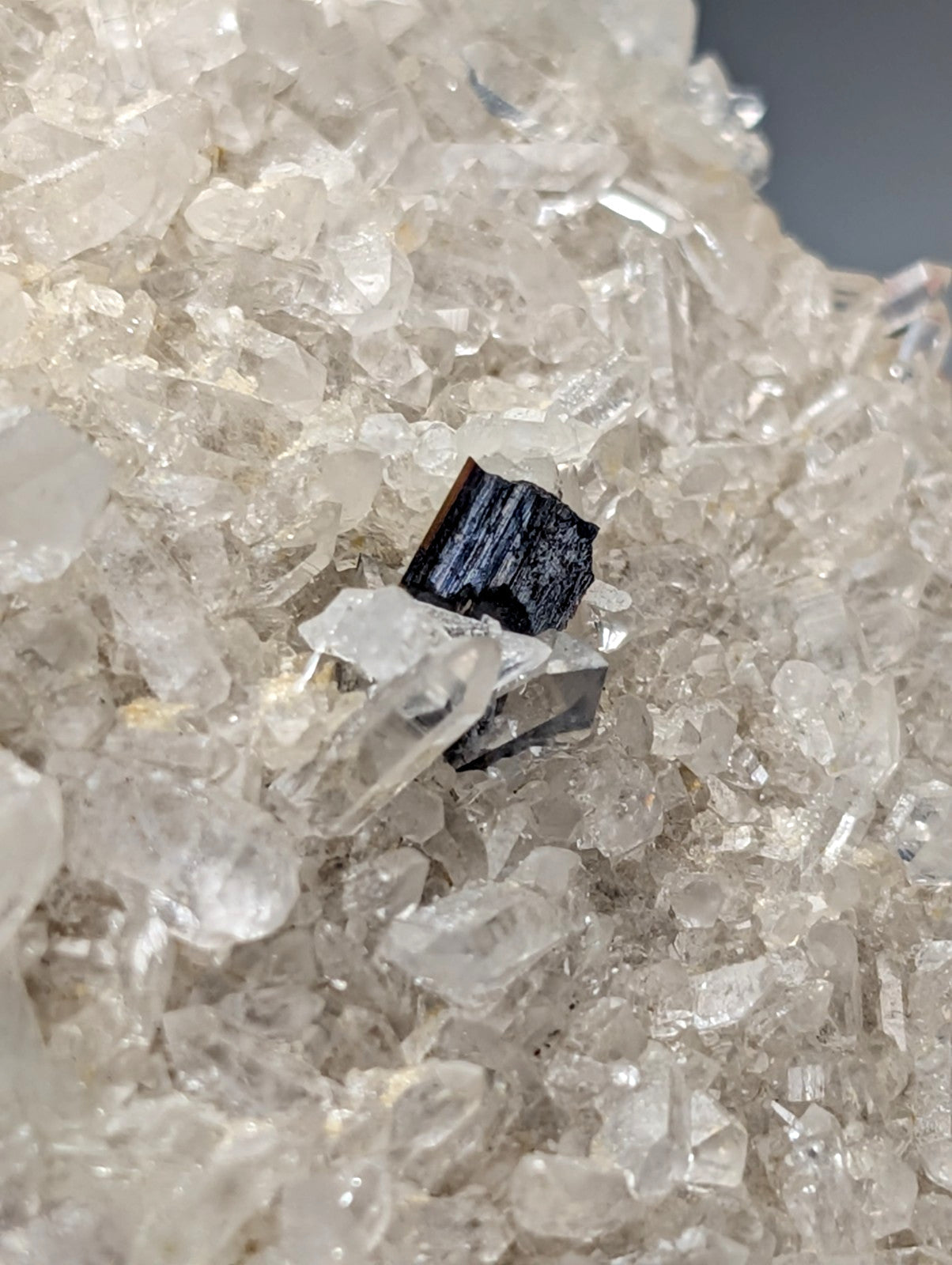 Very rare dark angular brookite mineral with glossy surface on translucent white quartz from miller mountain arkansas usa
