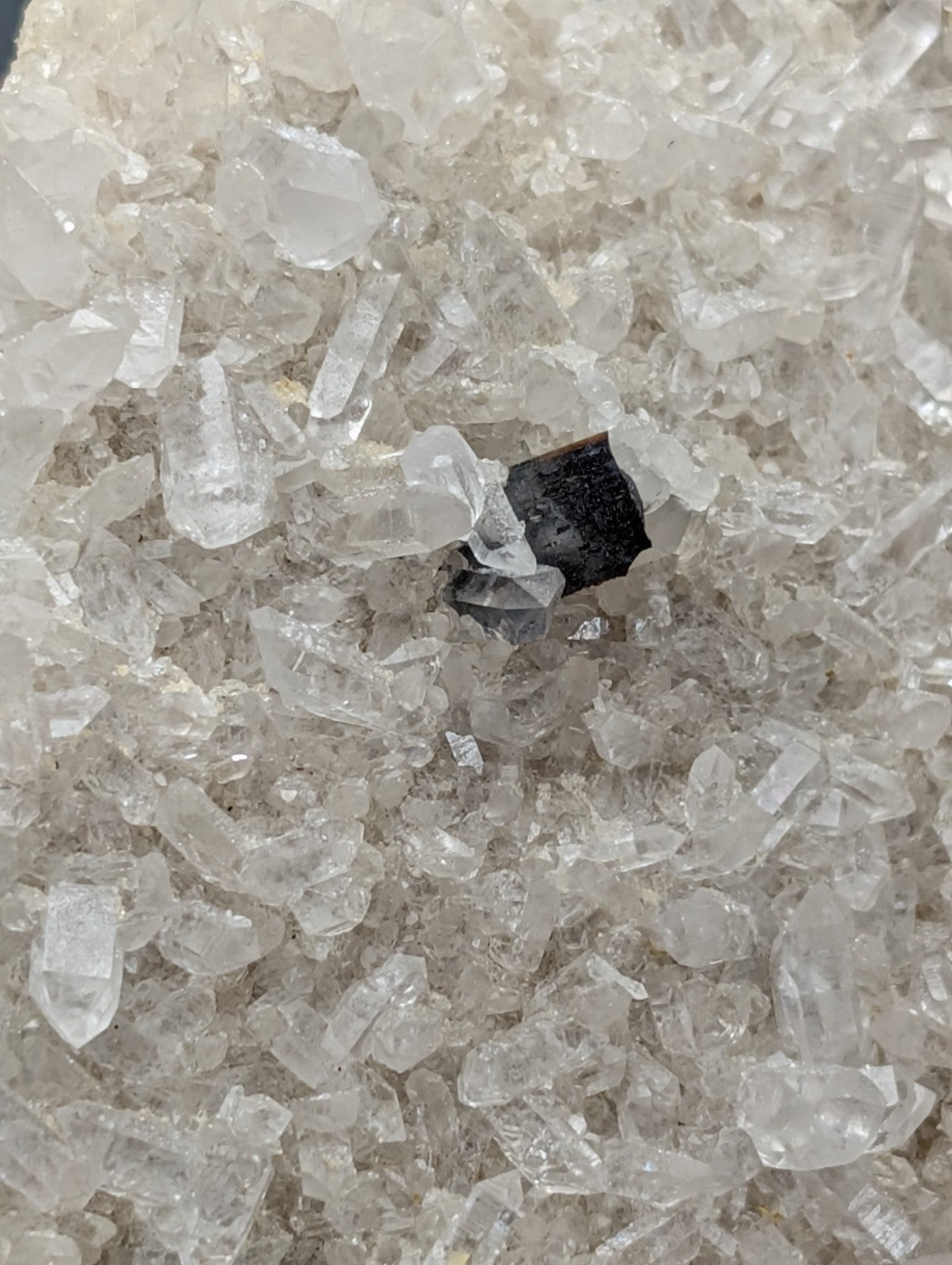 Very rare dark faceted brookite mineral specimen on translucent white quartz crystals from miller mountain arkansas usa