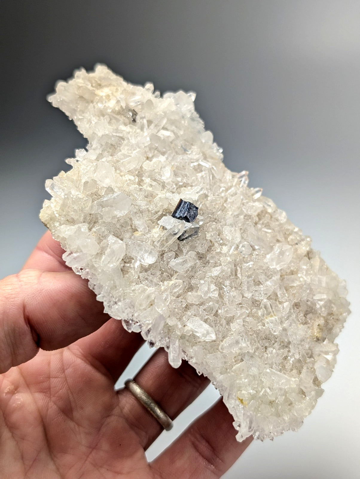 Very rare brookite on quartz cluster with translucent white quartz and dark blue brookite from Miller Mountain Arkansas USA