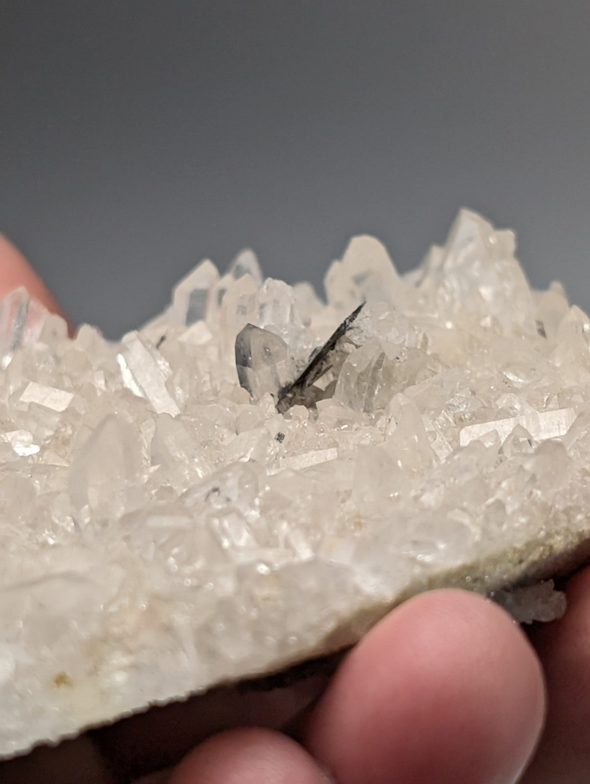 A translucent white quartz crystal cluster with sharp points and dark brookite mineral inclusion from Arkansas usa
