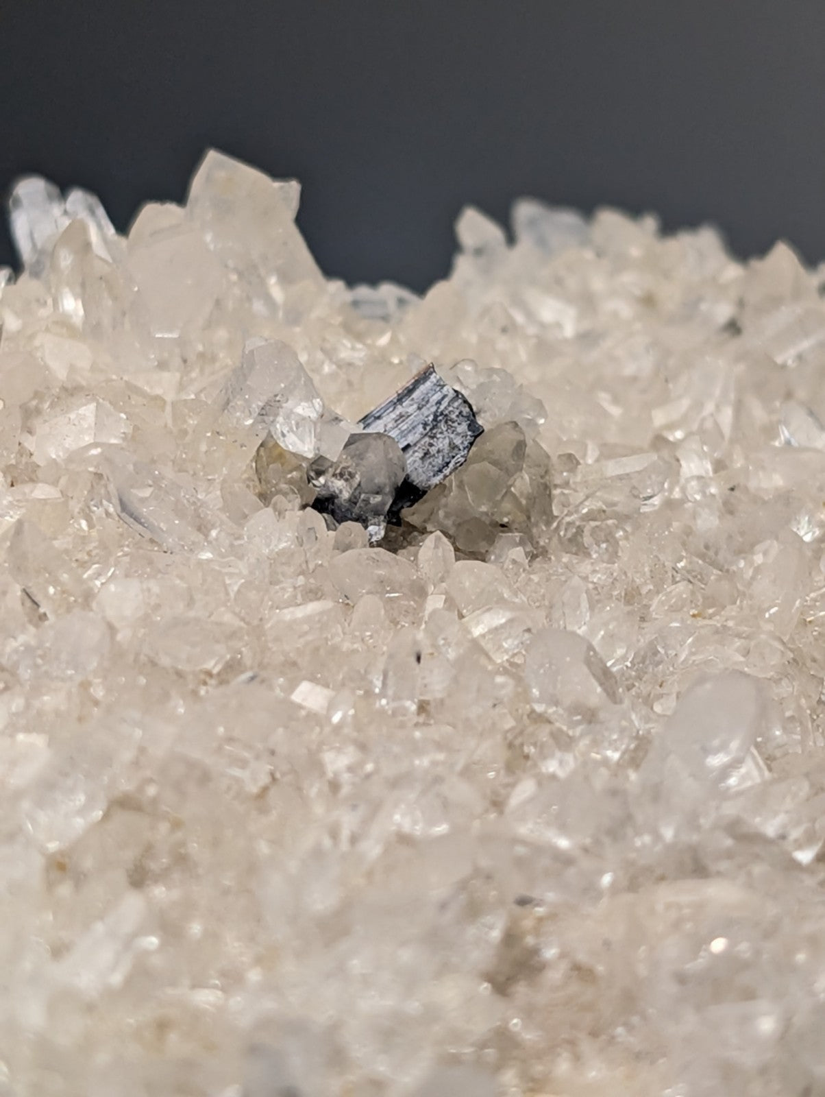 Very rare dark brookite mineral with striated surface on translucent white quartz from miller mountain arkansas usa