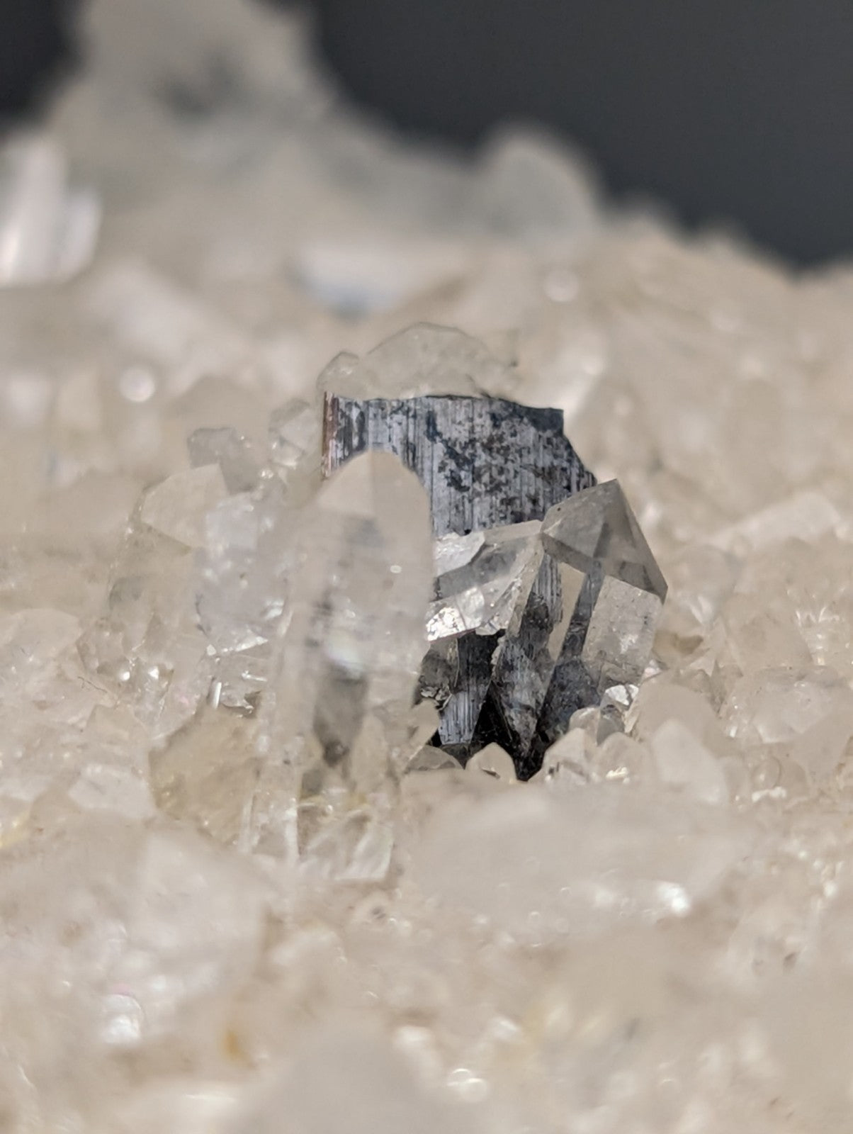 Very rare brookite mineral with sharp black and white crystal facets on translucent quartz from miller mountain arkansas usa