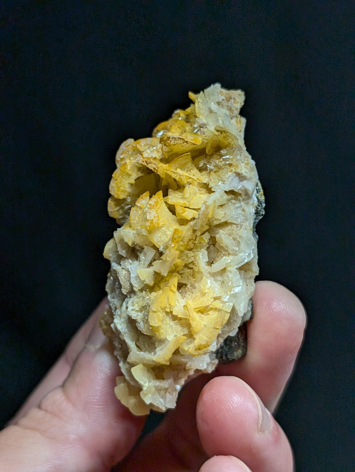 A hand holds a natural mineral specimen featuring vibrant yellow crystalline formations growing from a pale, textured matrix.