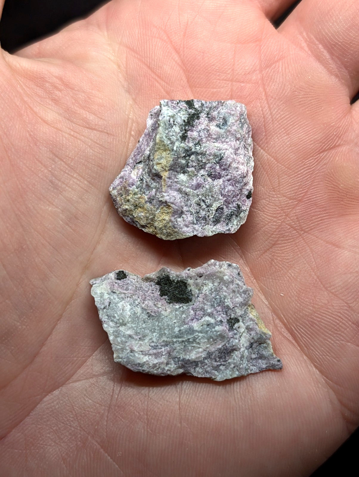 Two irregularly shaped, rough-textured mineral fragments with a mottled gray and greenish hue.