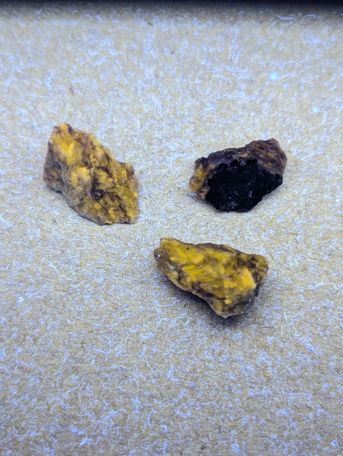 Two irregularly shaped yellowish-brown mineral specimens with one displaying a dark, hollow interior.