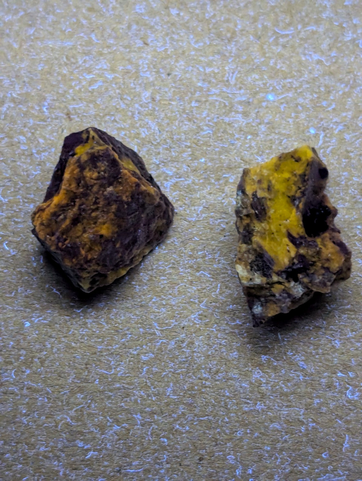 Two irregularly shaped, rough-textured mineral specimens with patches of vibrant yellow and dark brown or black coloring.