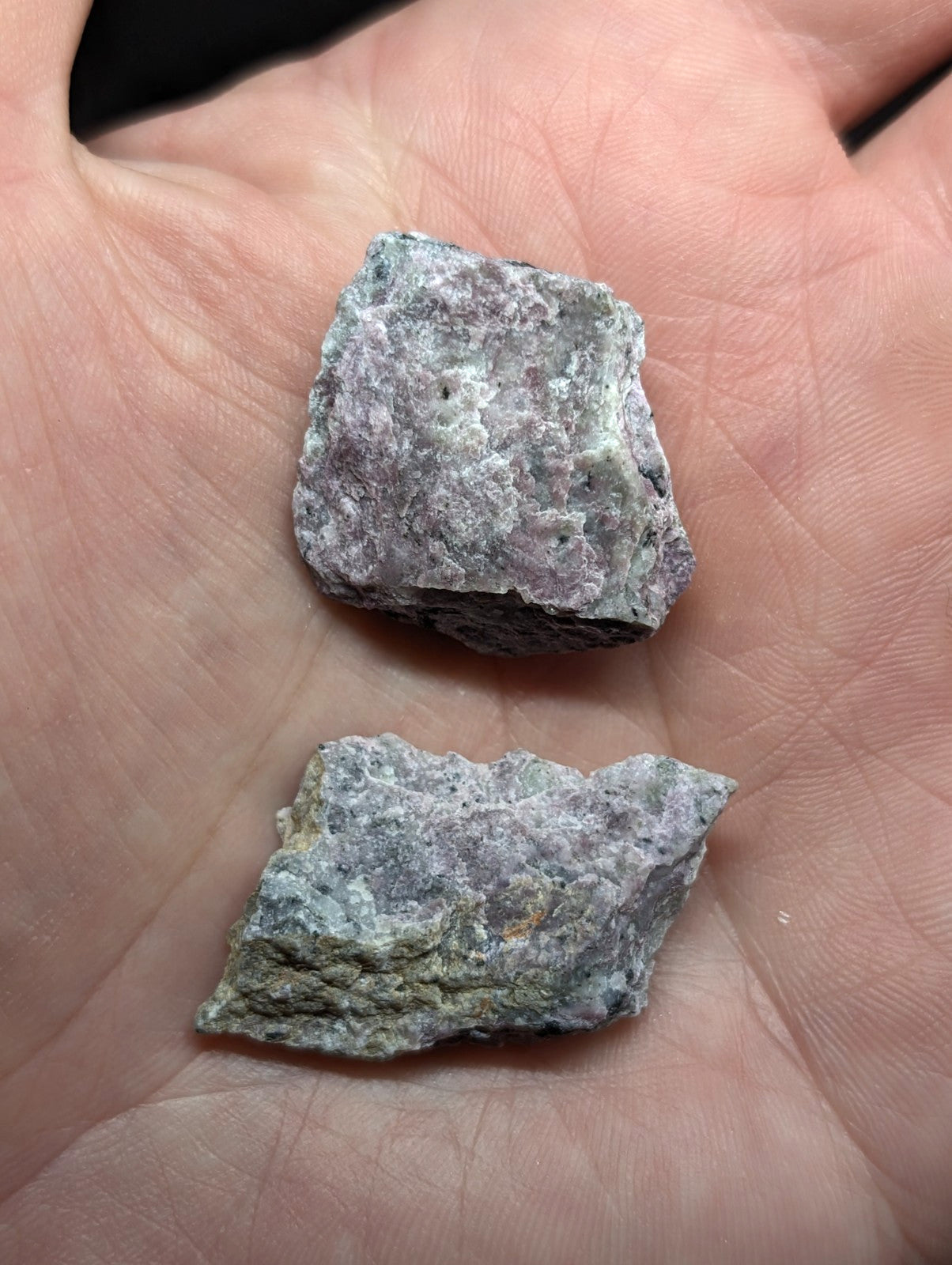 Two irregularly shaped, rough-textured mineral specimens with a mottled gray and greenish hue.