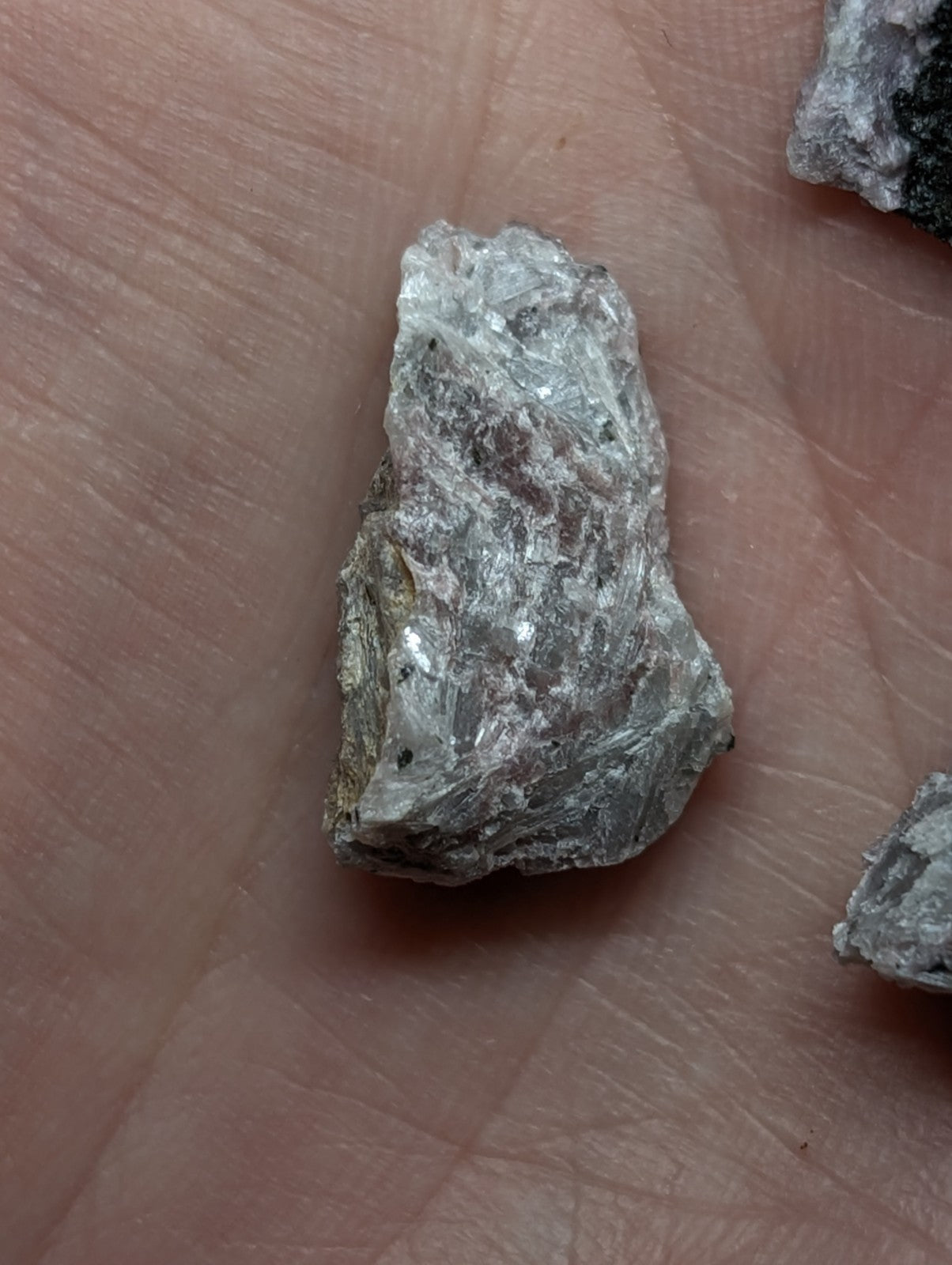 A rough, irregularly shaped gray rock with a slightly shiny surface and visible mineral veins.