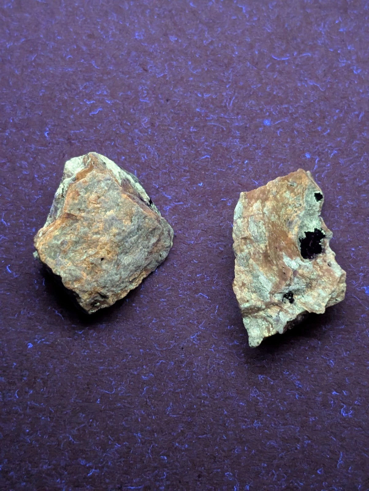 Two irregularly shaped, rough-textured rock fragments with earthy tones of beige and brown, featuring small black inclusions.