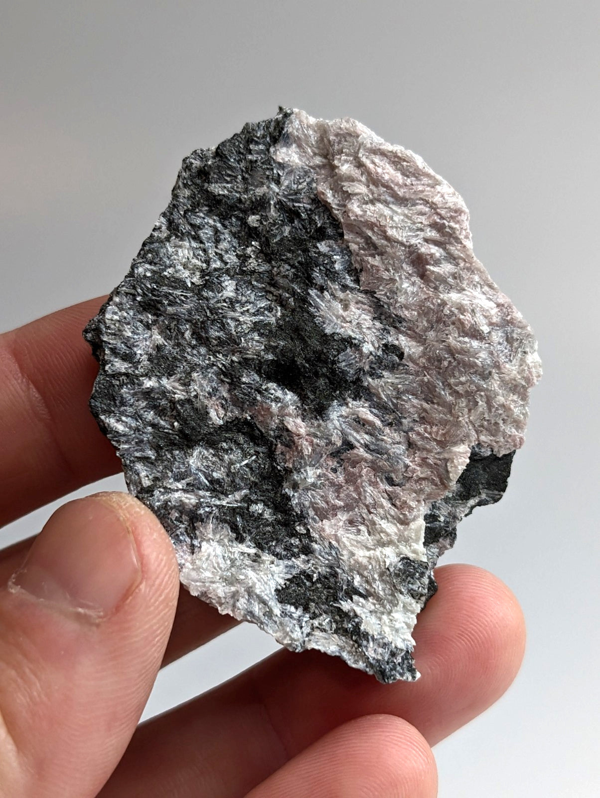 A rugged, irregularly shaped mineral specimen with a striking black and white speckled pattern.