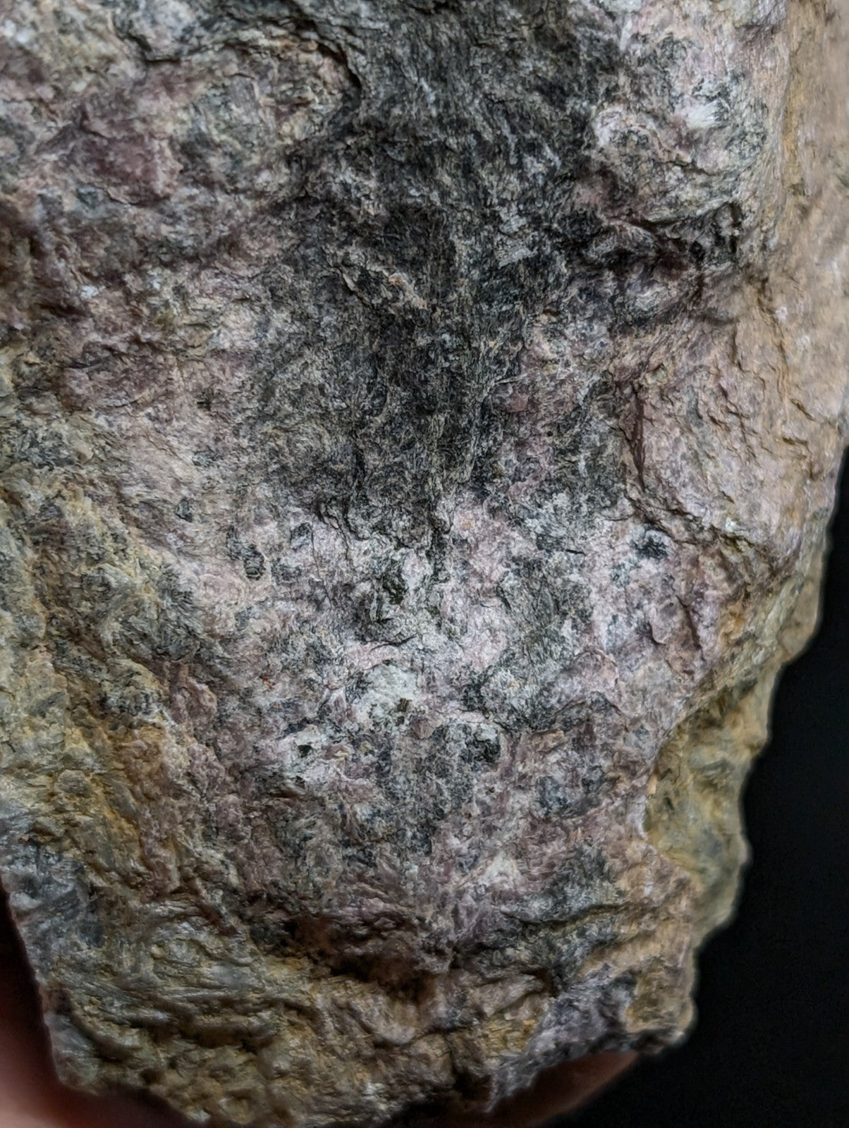 A rugged, naturally textured rock with a mottled surface of gray, brown, and subtle greenish hues.