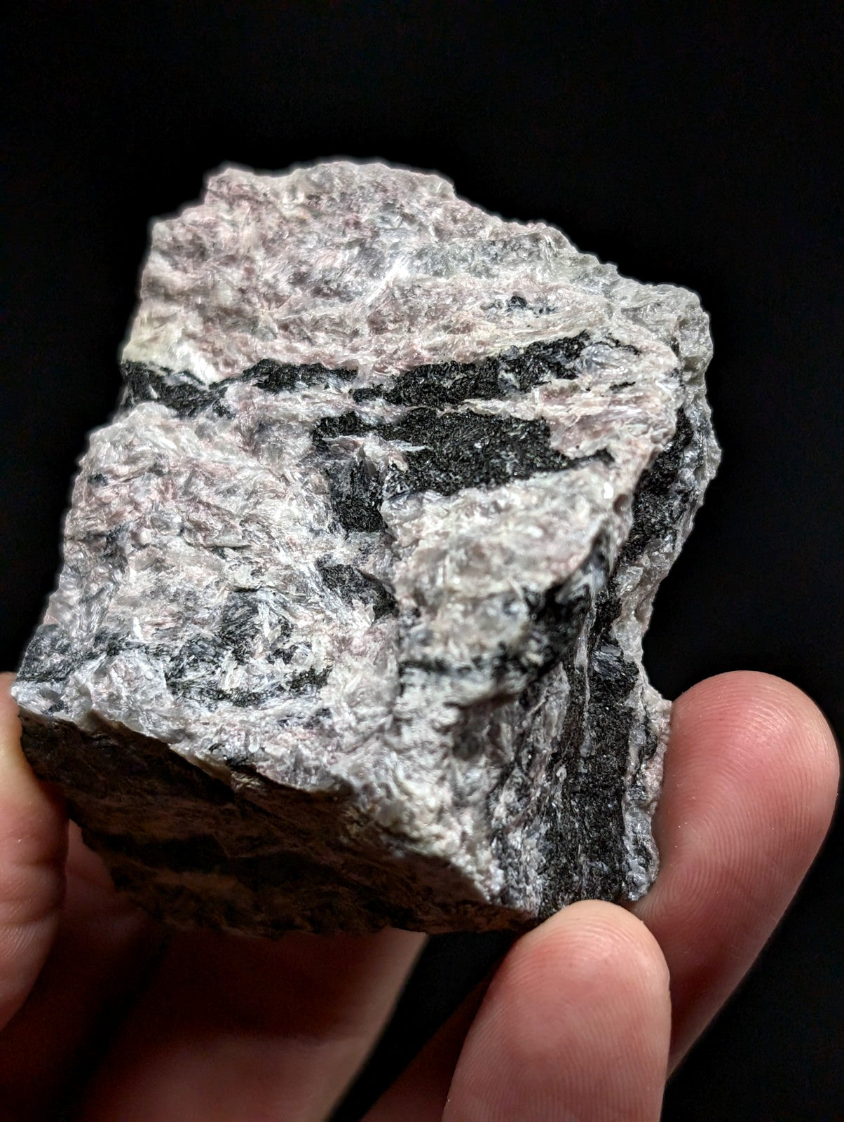 A rough, irregularly shaped rock with a mottled gray and black surface texture.
