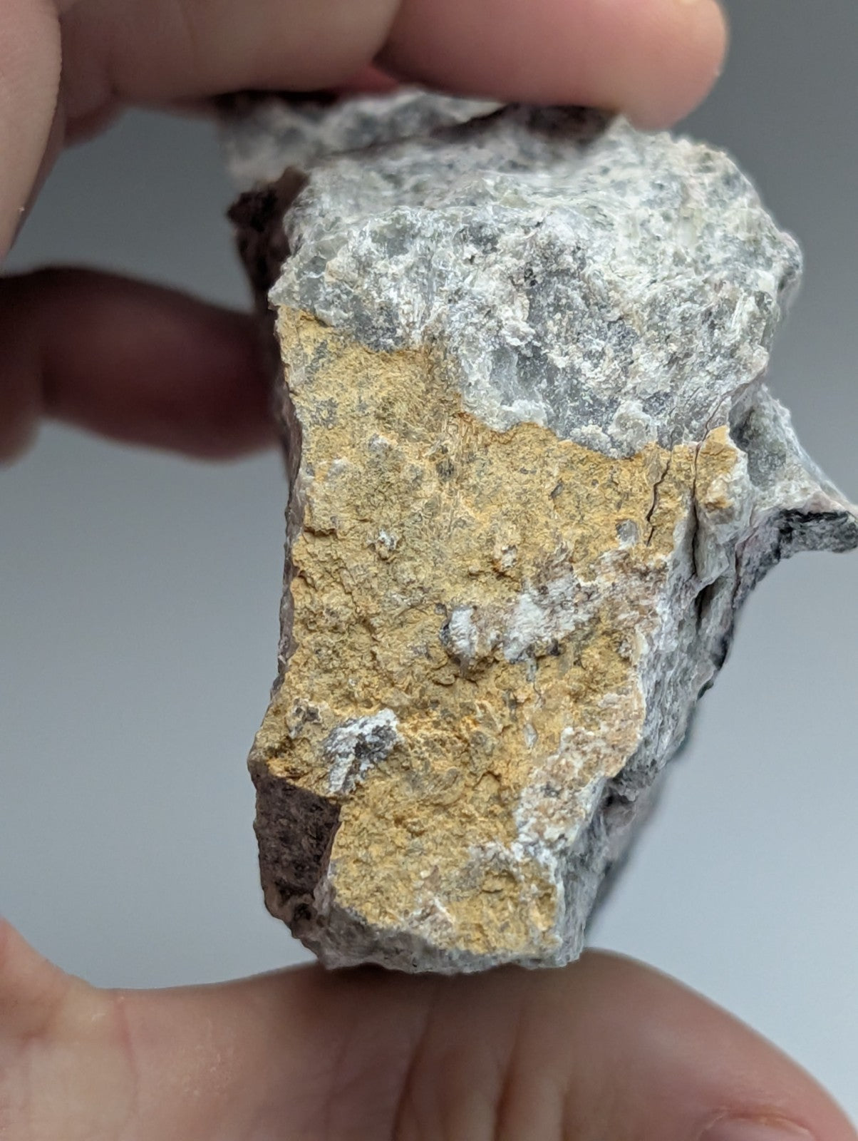 A very rare miserite and wollastonite rock from wilson springs arkansas with gray outer surface and golden yellow interior