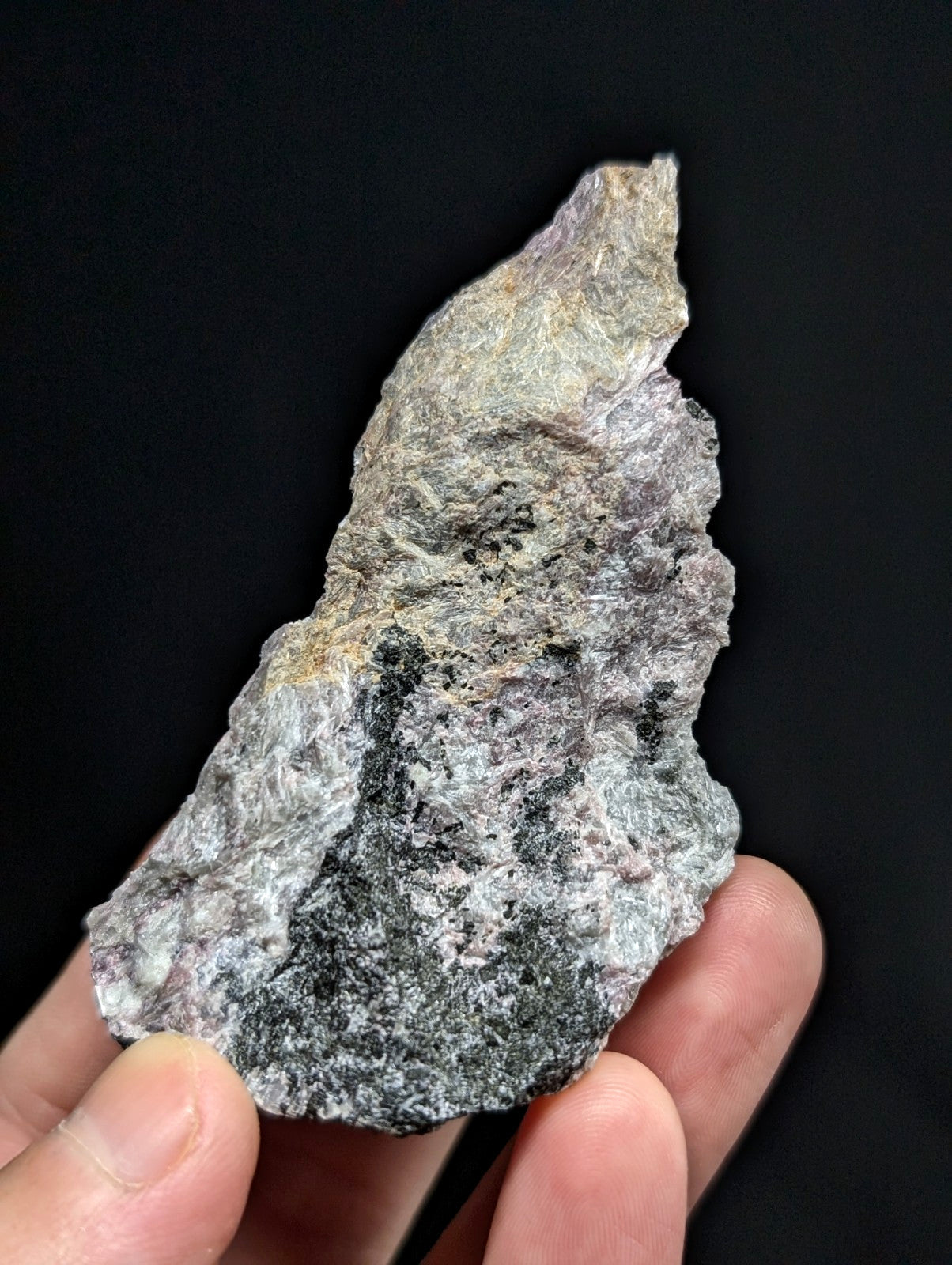 A rugged, irregularly shaped rock with a mottled gray and black surface held gently in someone’s hand.