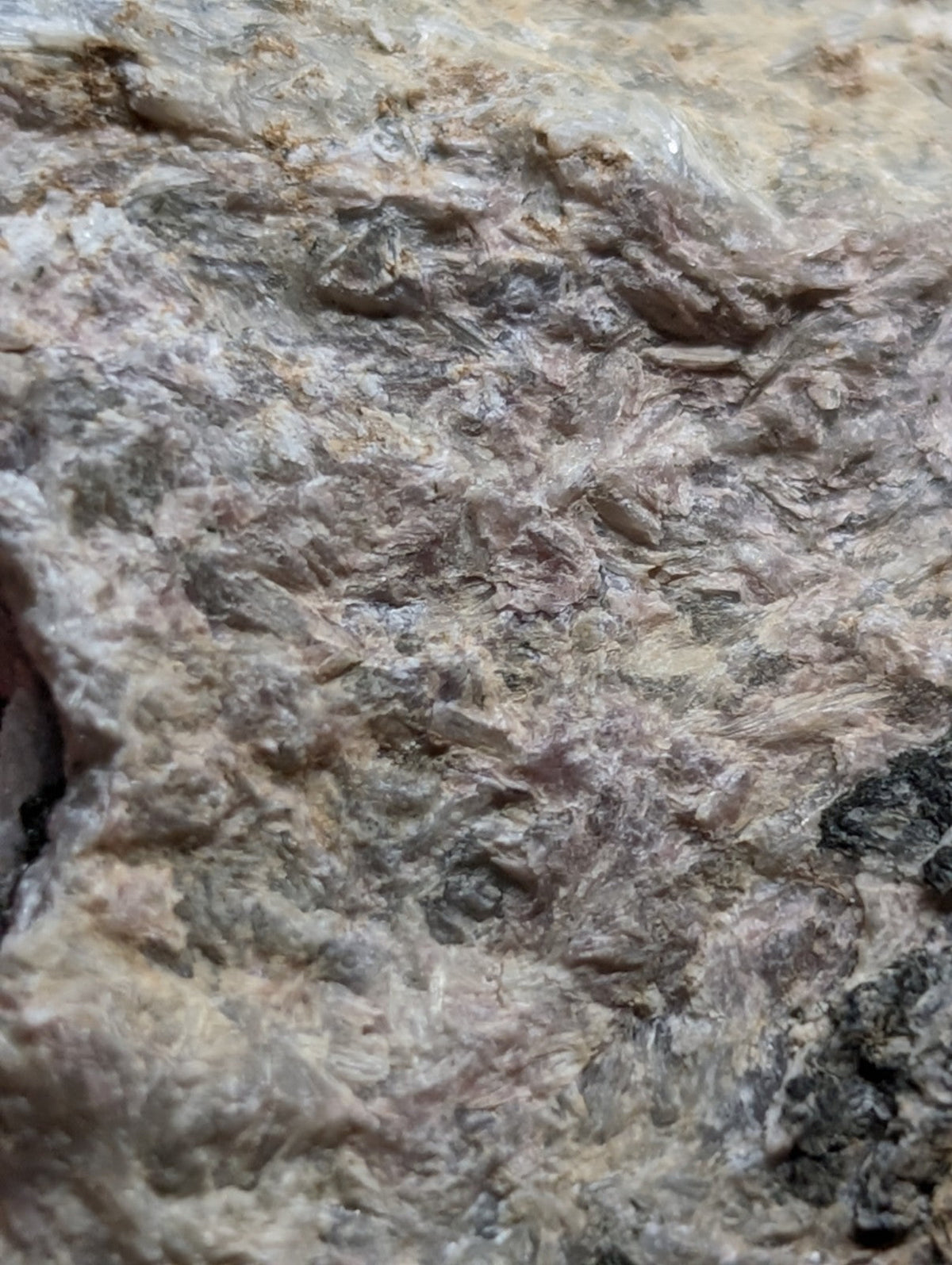 A textured, mottled rock surface with a mix of beige, gray, and subtle pinkish hues.
