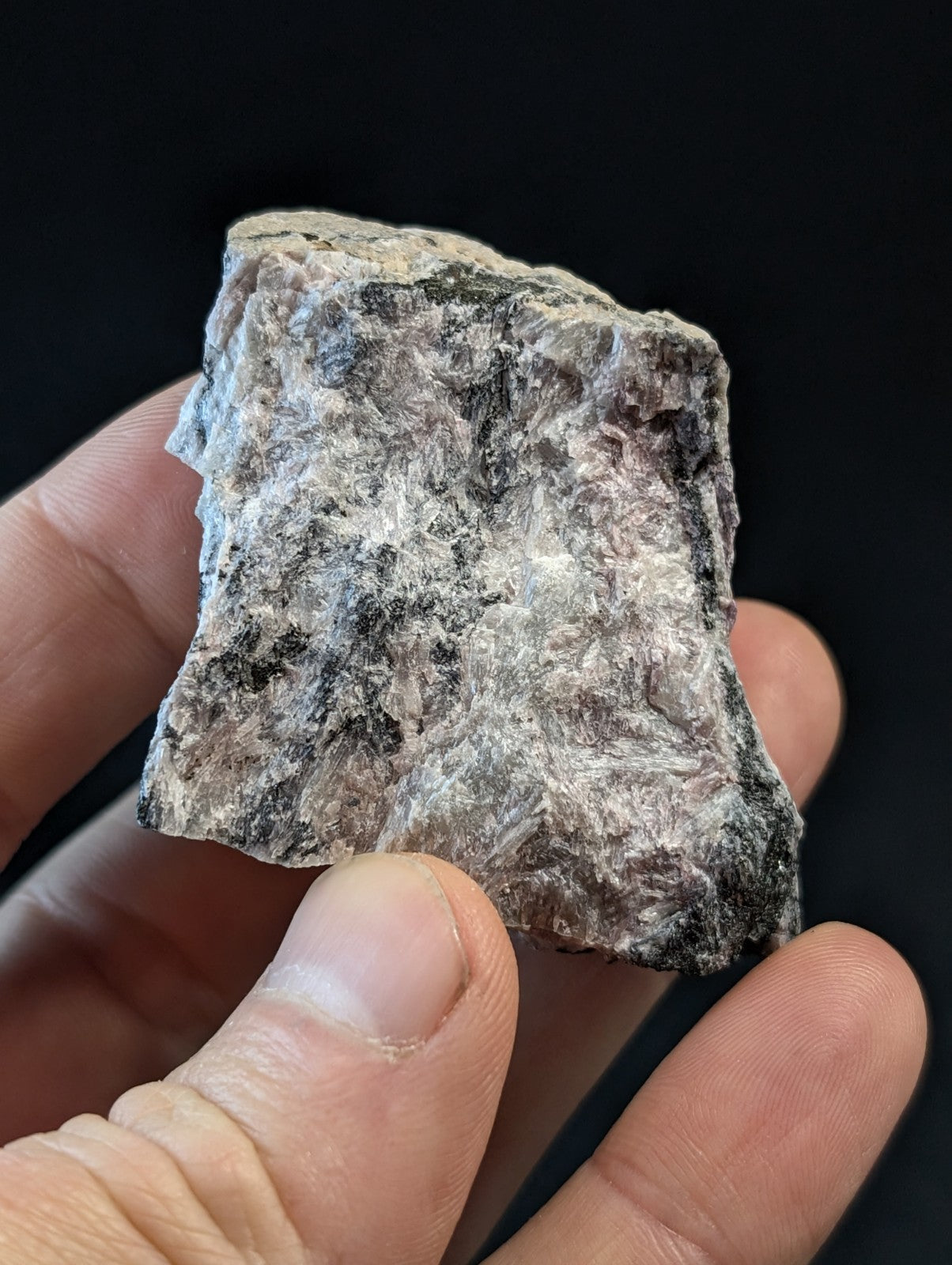 A rough, irregularly shaped rock with a mottled gray and black surface texture.