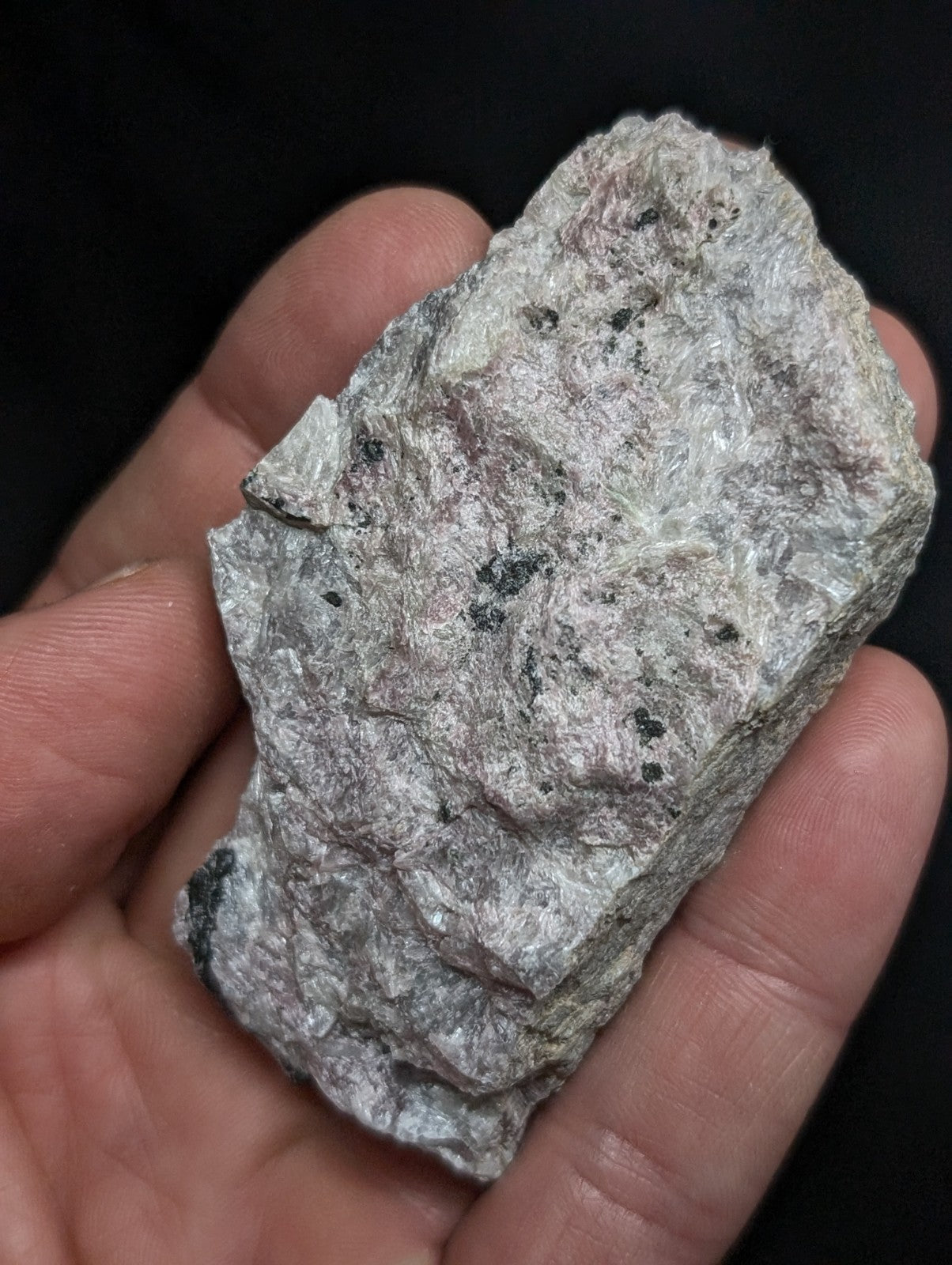 A rough, irregularly shaped gray rock with speckles of black and white mineral inclusions.