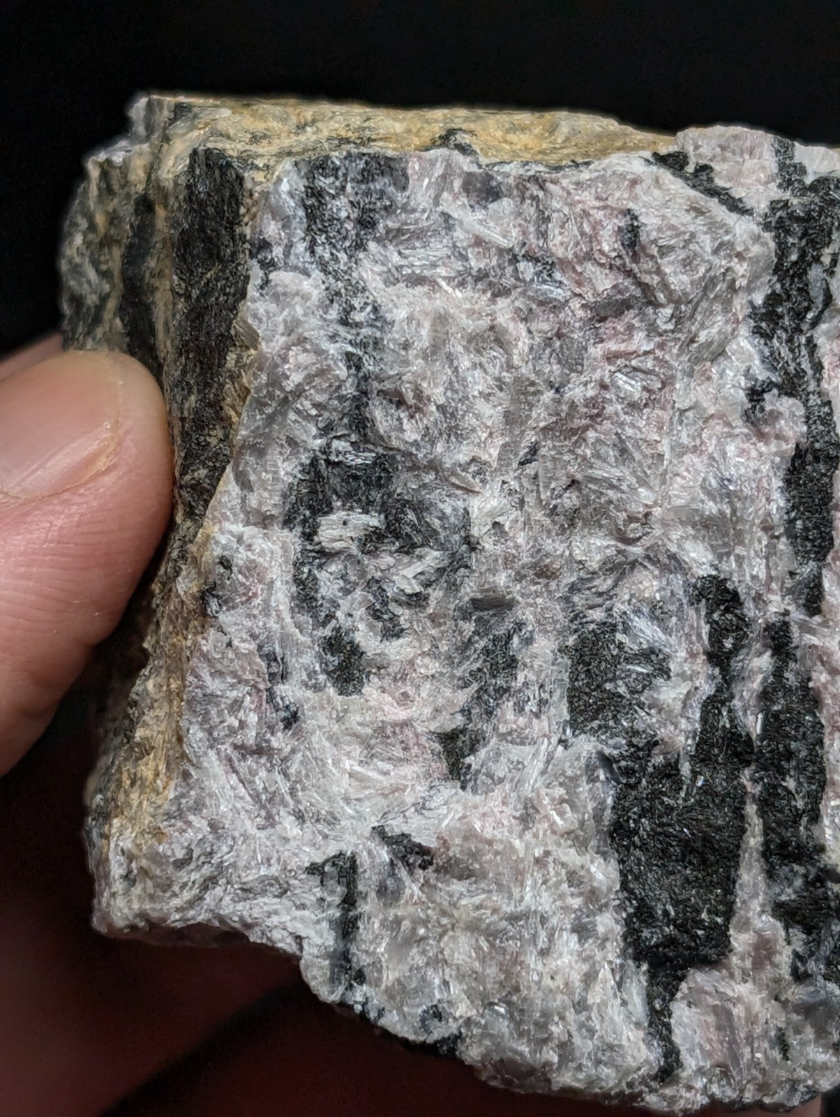 A rugged, irregularly shaped rock with a textured surface featuring intermingled gray and black mineral veins.