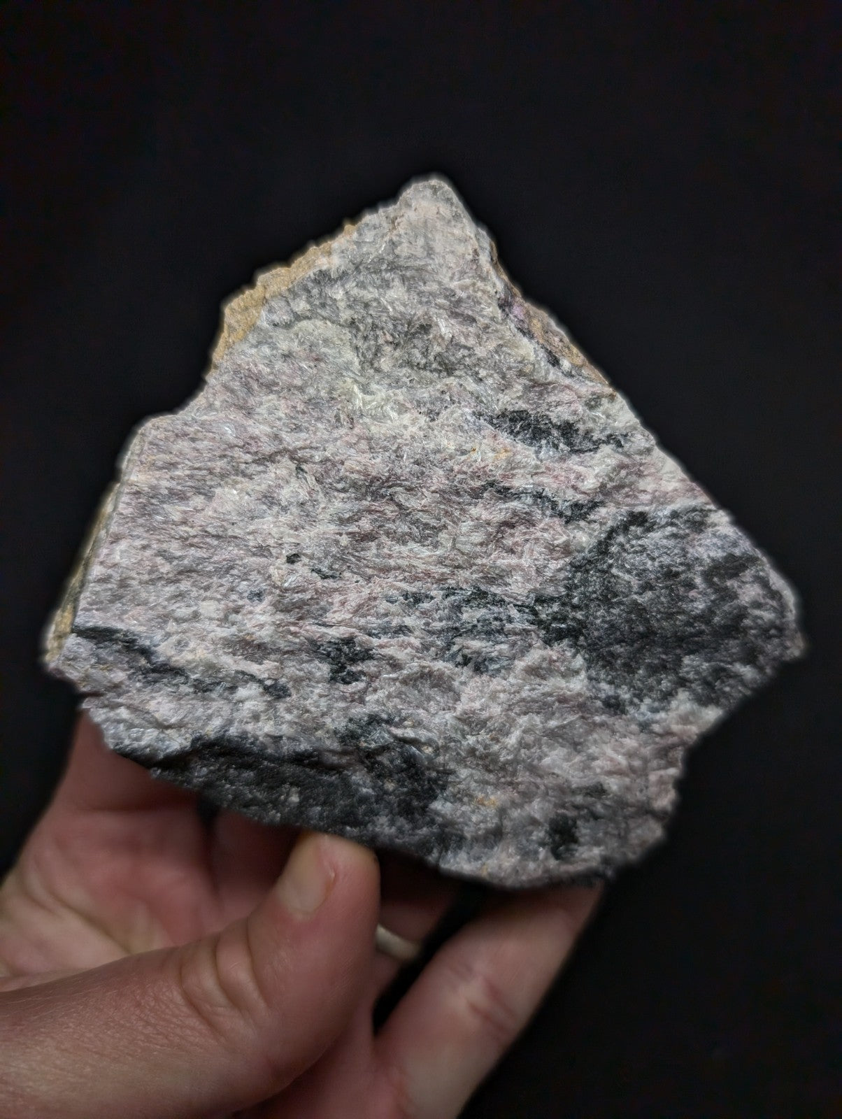 A rugged, irregularly shaped rock with a mottled gray and black surface texture.