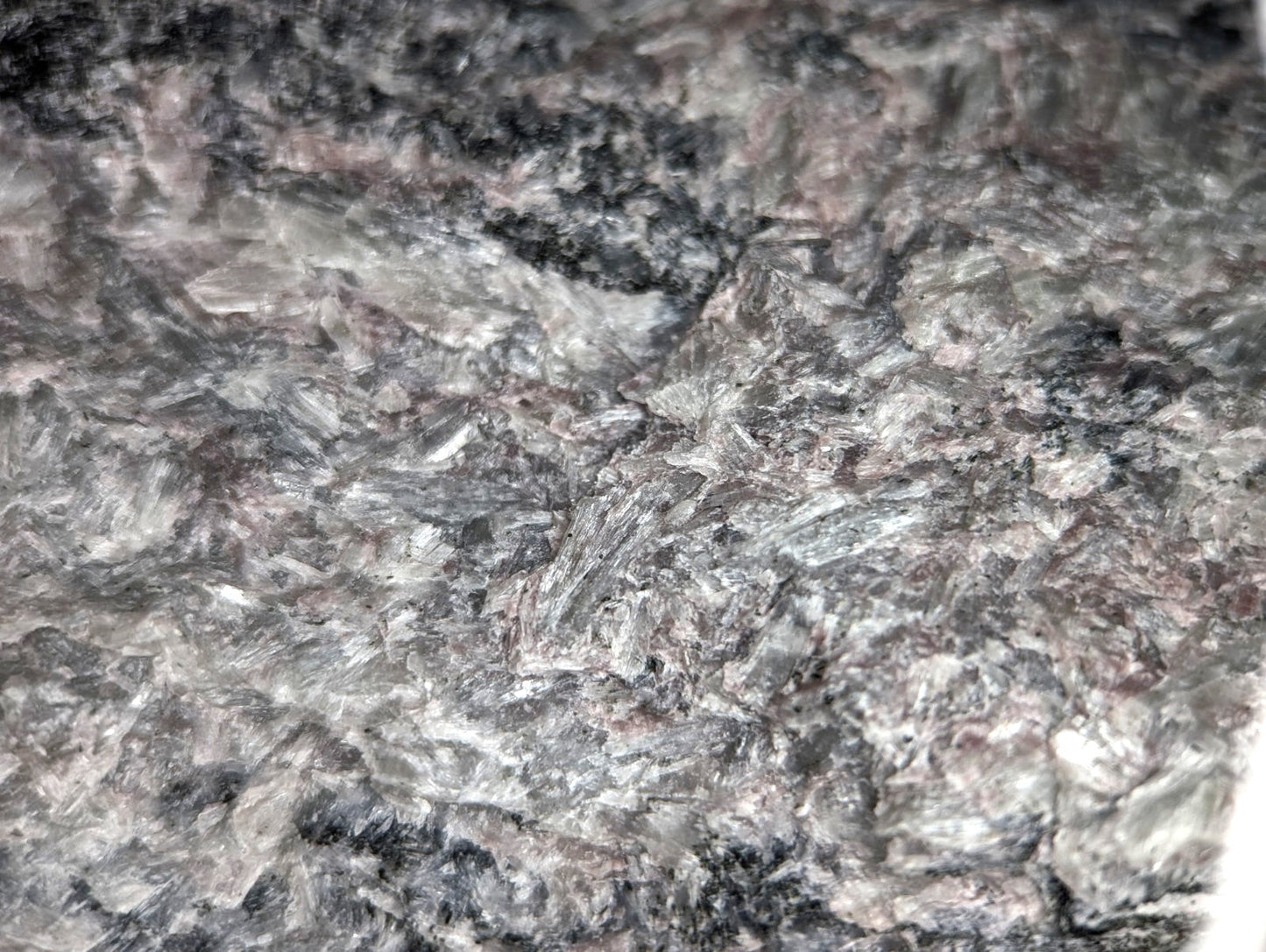 Gray and black speckled granite countertop with a polished, reflective surface.