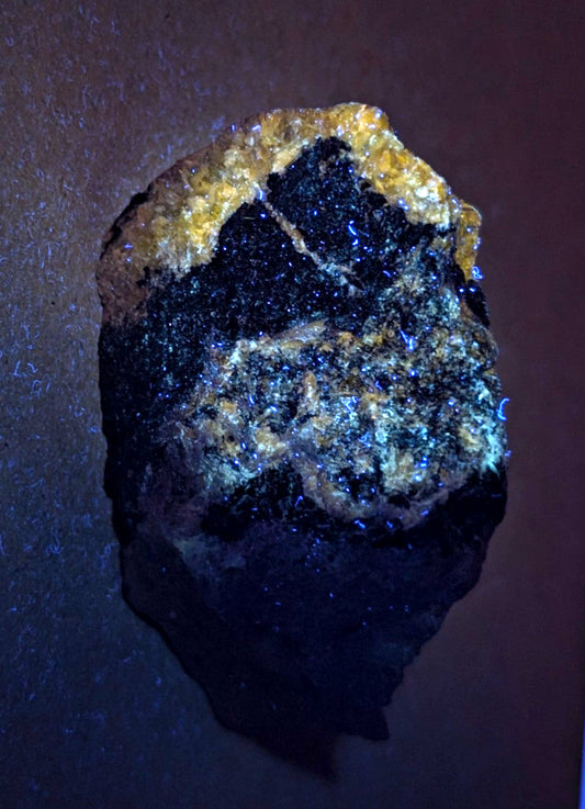 Very rare miserite and wollastonite mineral specimen with deep black and golden yellow crystals from Arkansas USA