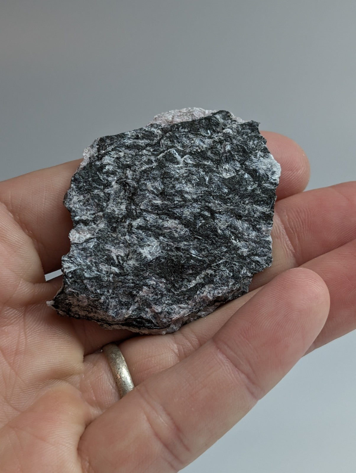 A hand holds a dark, speckled rock with white mineral veins and rough edges.