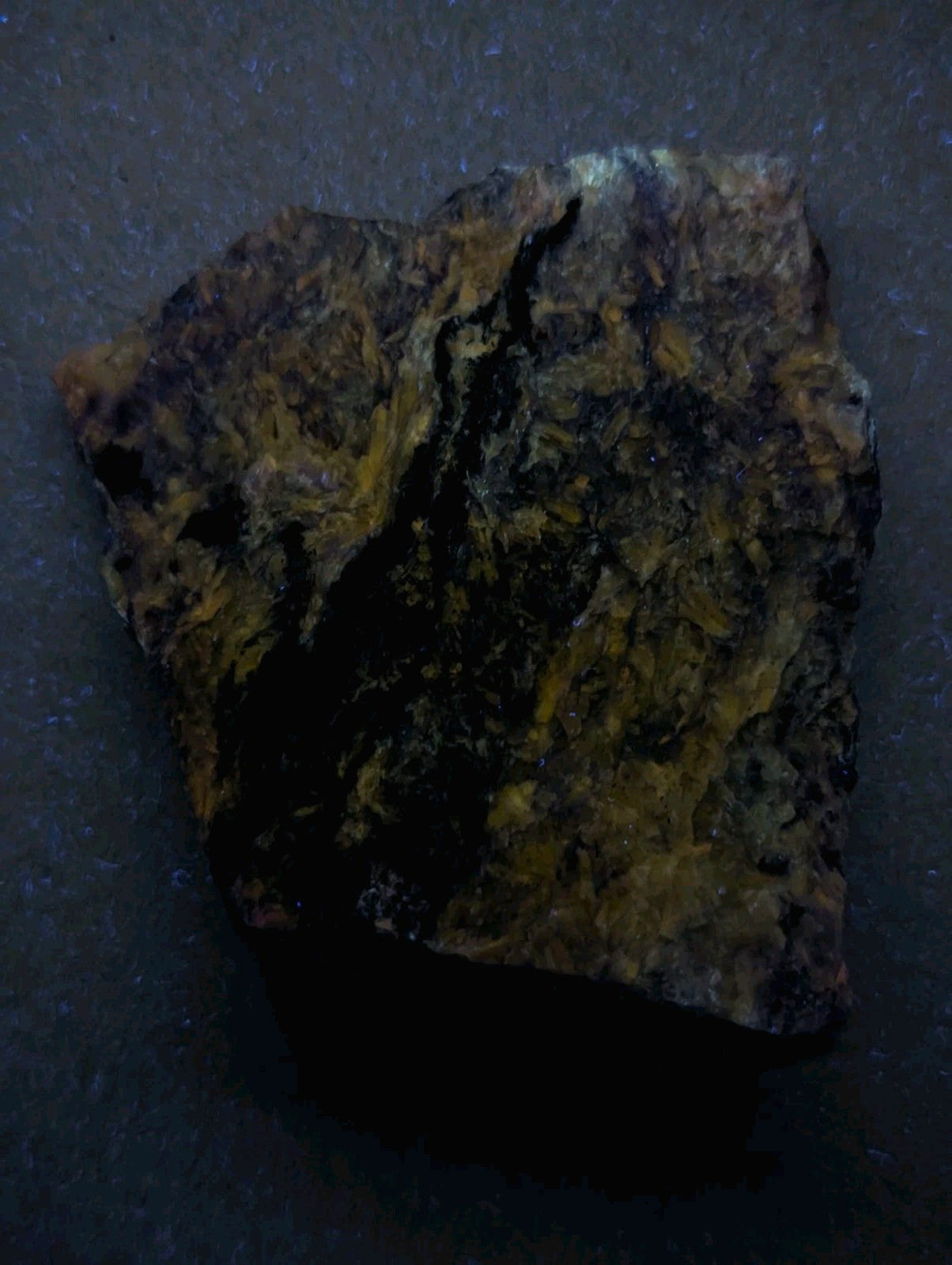 A rugged, irregularly shaped rock with a mottled surface of dark brown and golden-yellow hues.