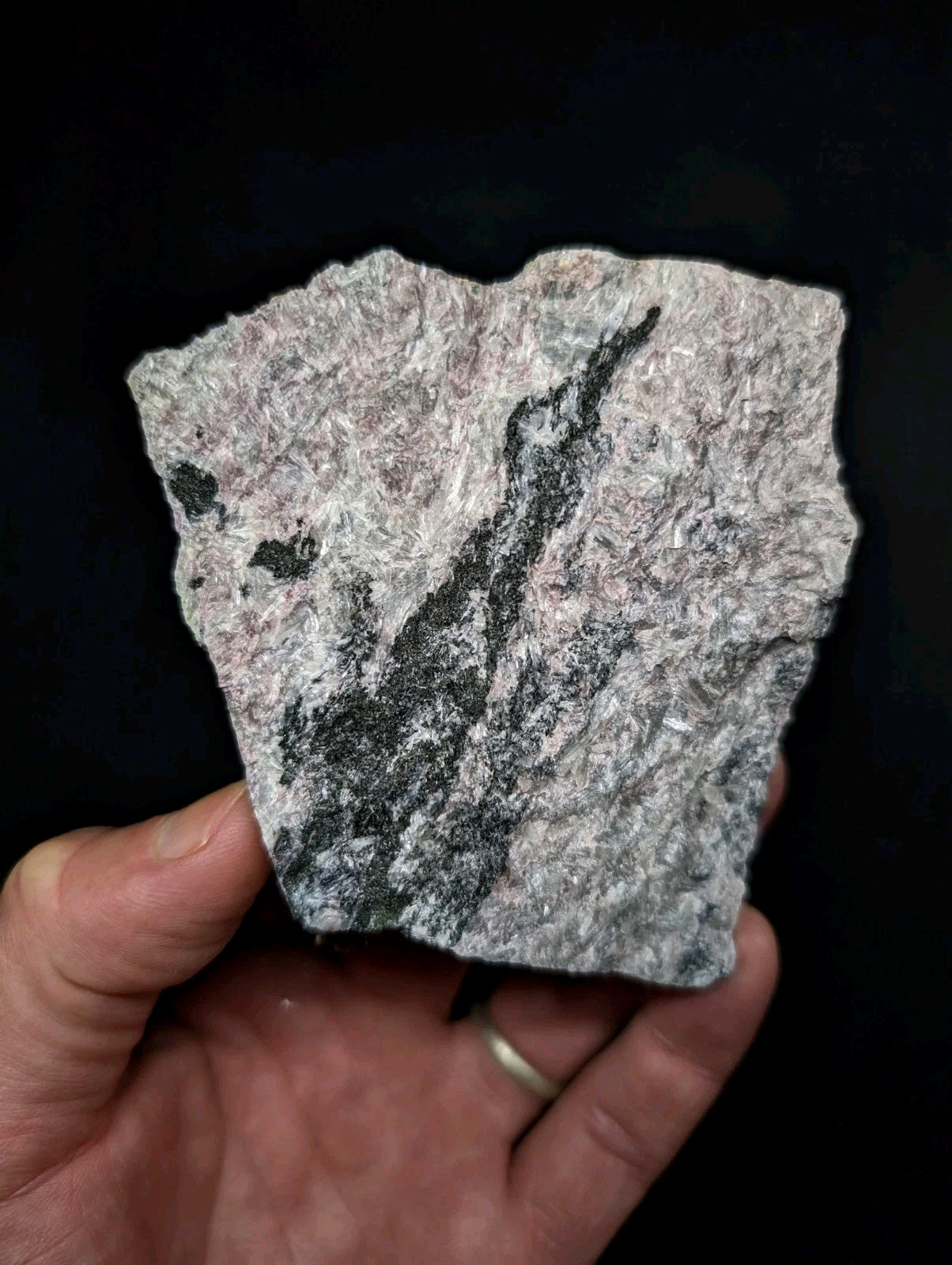 A hand holds a rough, irregularly shaped piece of grayish-white rock with dark black and charcoal streaks running through its textured surface.