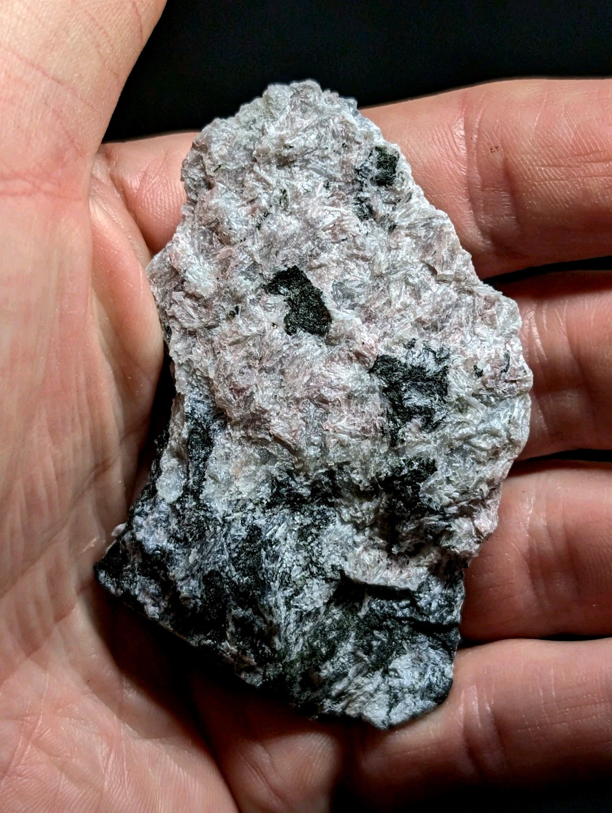 A rough, irregularly shaped rock with a mottled gray and black surface texture.