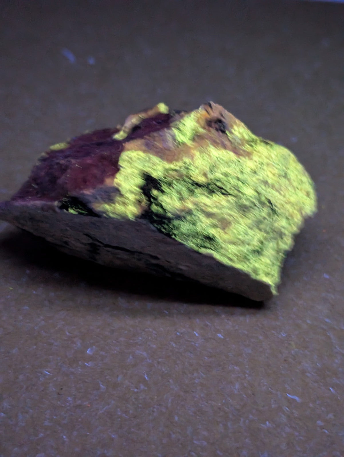 Very rare miserite and wollastonite mineral with fluorescent green coating on dark purple brown base from Arkansas usa