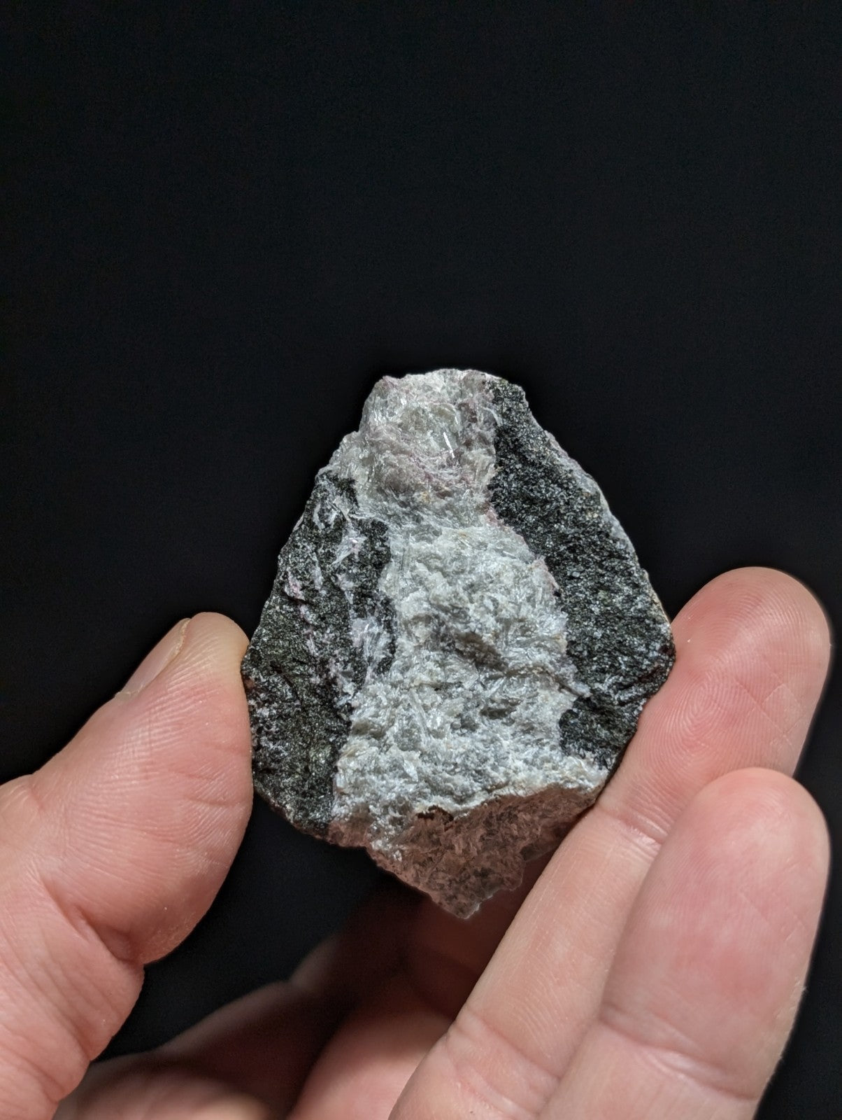 A hand holds a rough, irregularly shaped stone with a mottled gray and black surface.