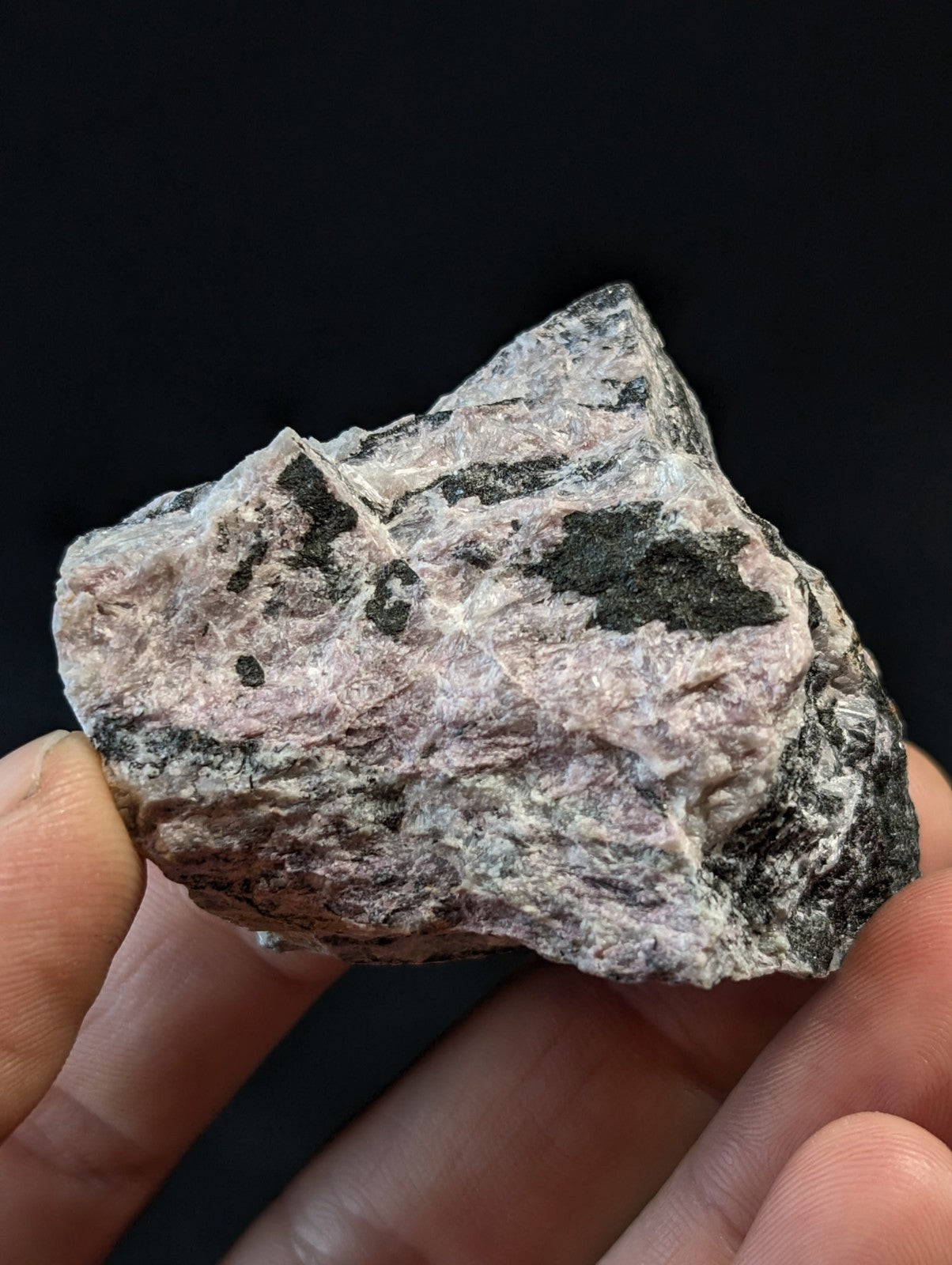 A rough, irregularly shaped rock with a mottled pink and gray surface accented by dark black patches.