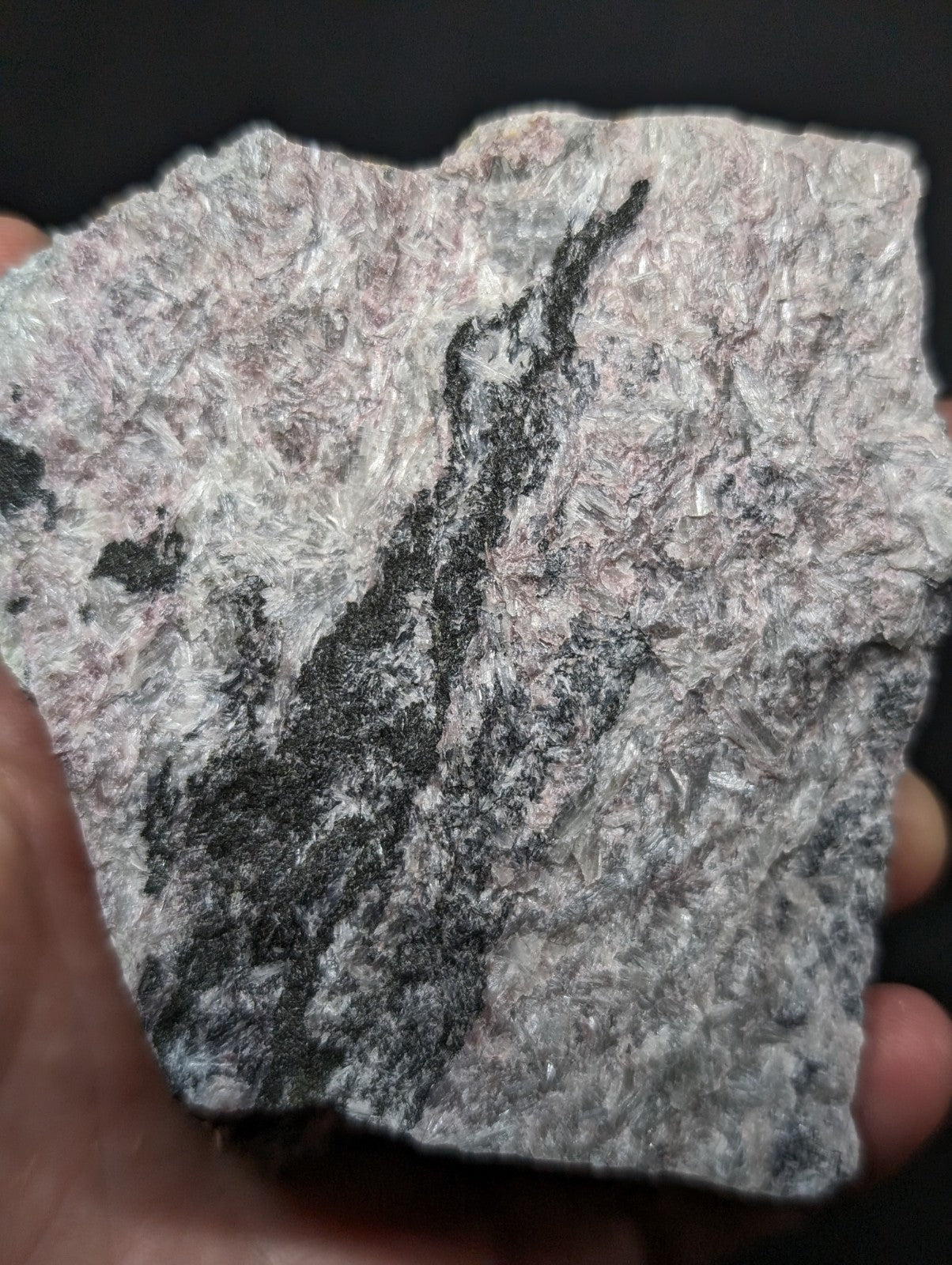 A hand holds a rough, irregularly shaped rock with a speckled gray and black mineral pattern.