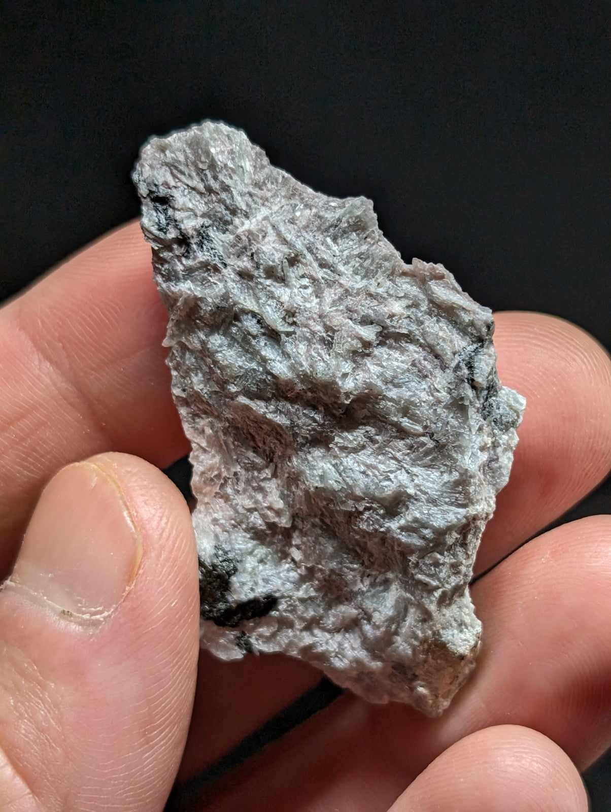 A rough, irregularly shaped gray rock with a textured surface and small black inclusions.