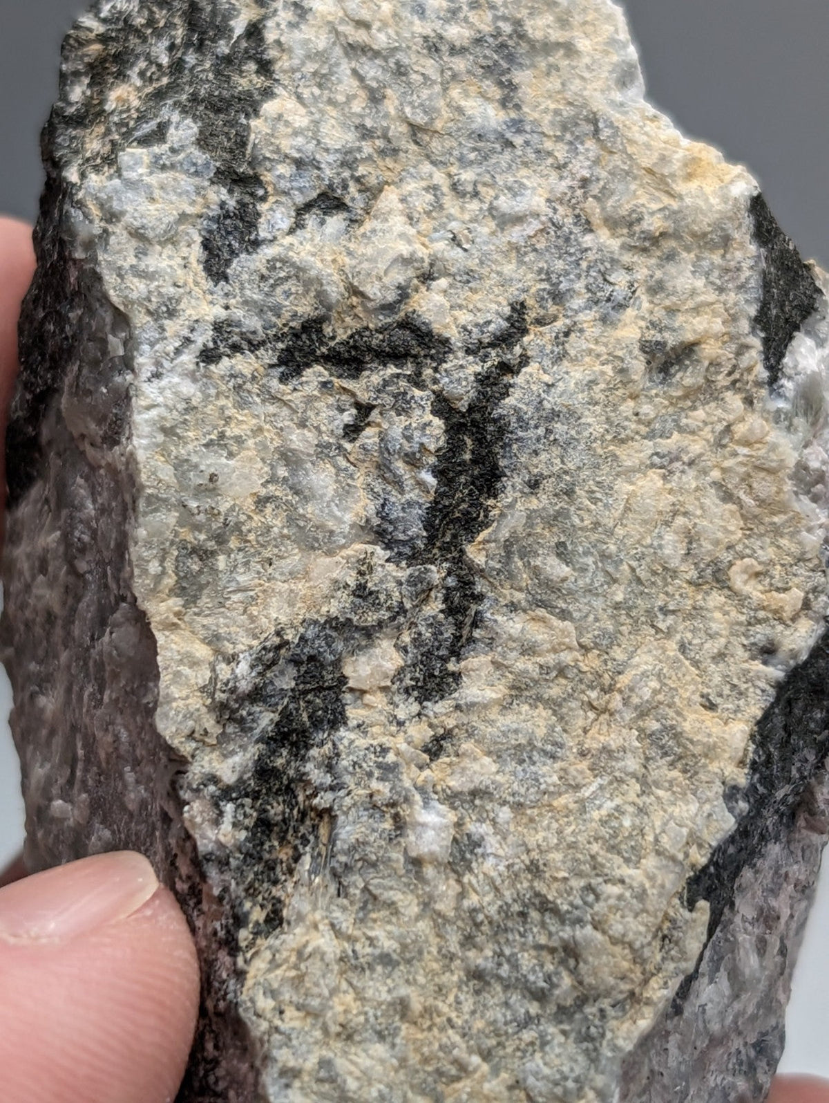 Very rare miserite and wollastonite rock with gray black and beige streaks from wilson springs garland county arkansas usa