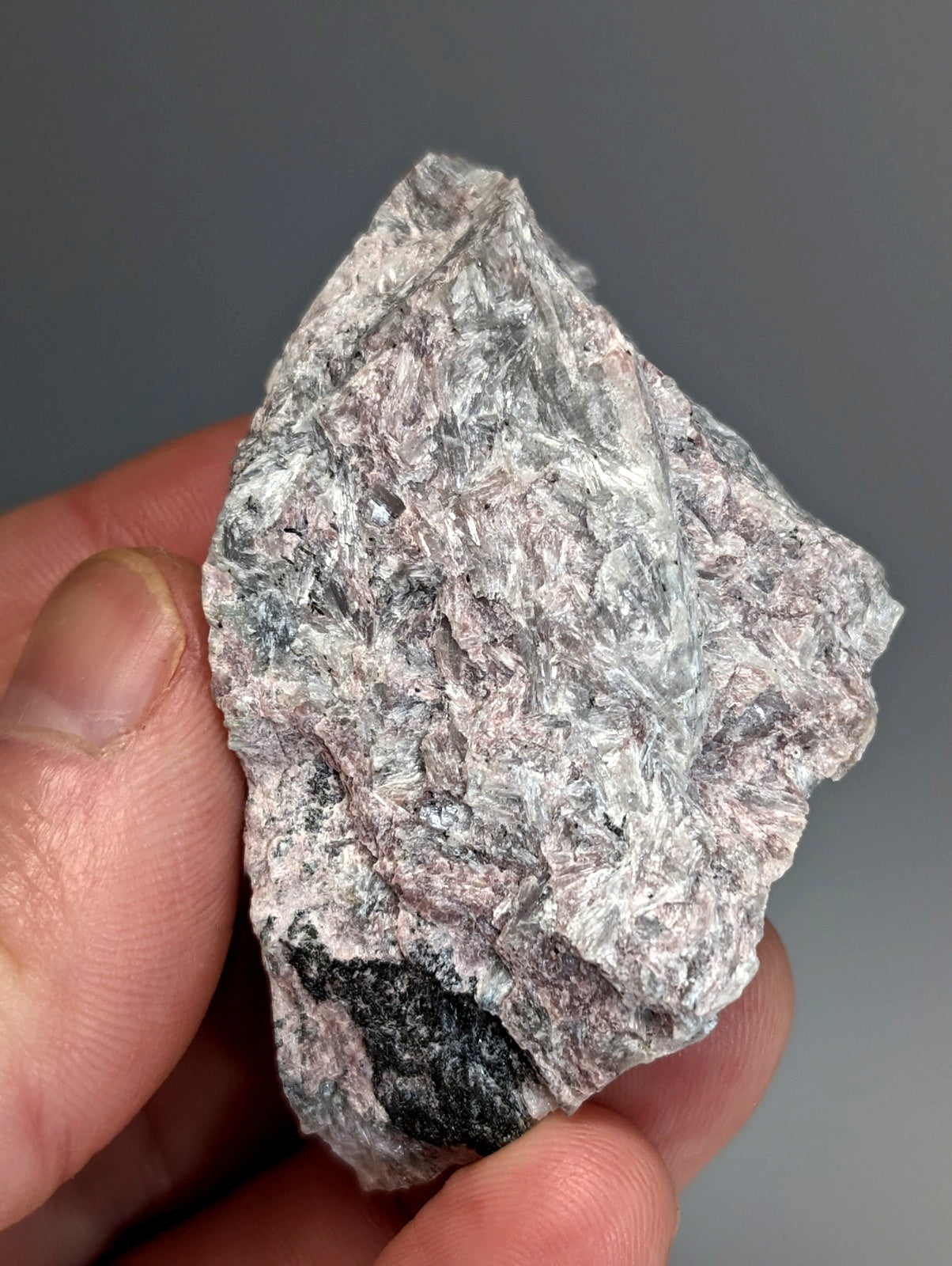 Very rare miserite and wollastonite rock from wilson springs arkansas with mottled gray white pink and black patches