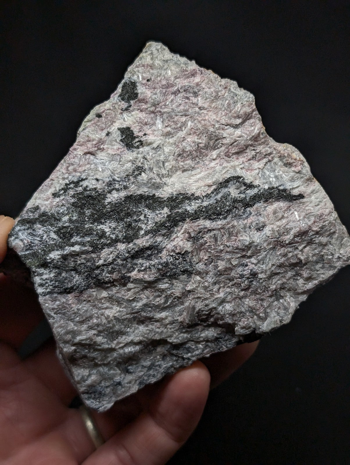 A hand holds a rough, irregularly shaped piece of grayish rock with dark streaks and speckles.
