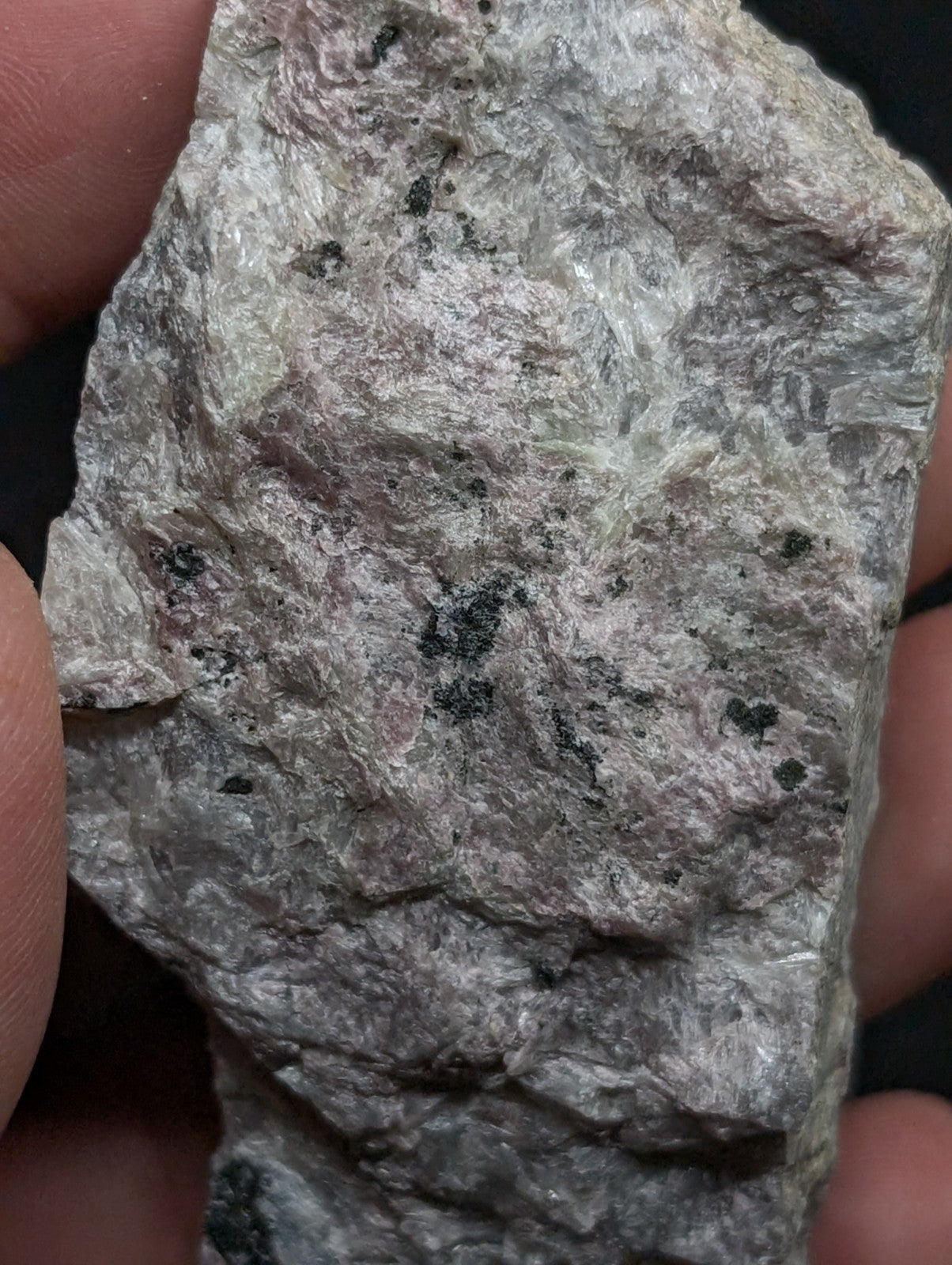 A rough, irregularly shaped gray rock with speckles of black and white mineral veins.